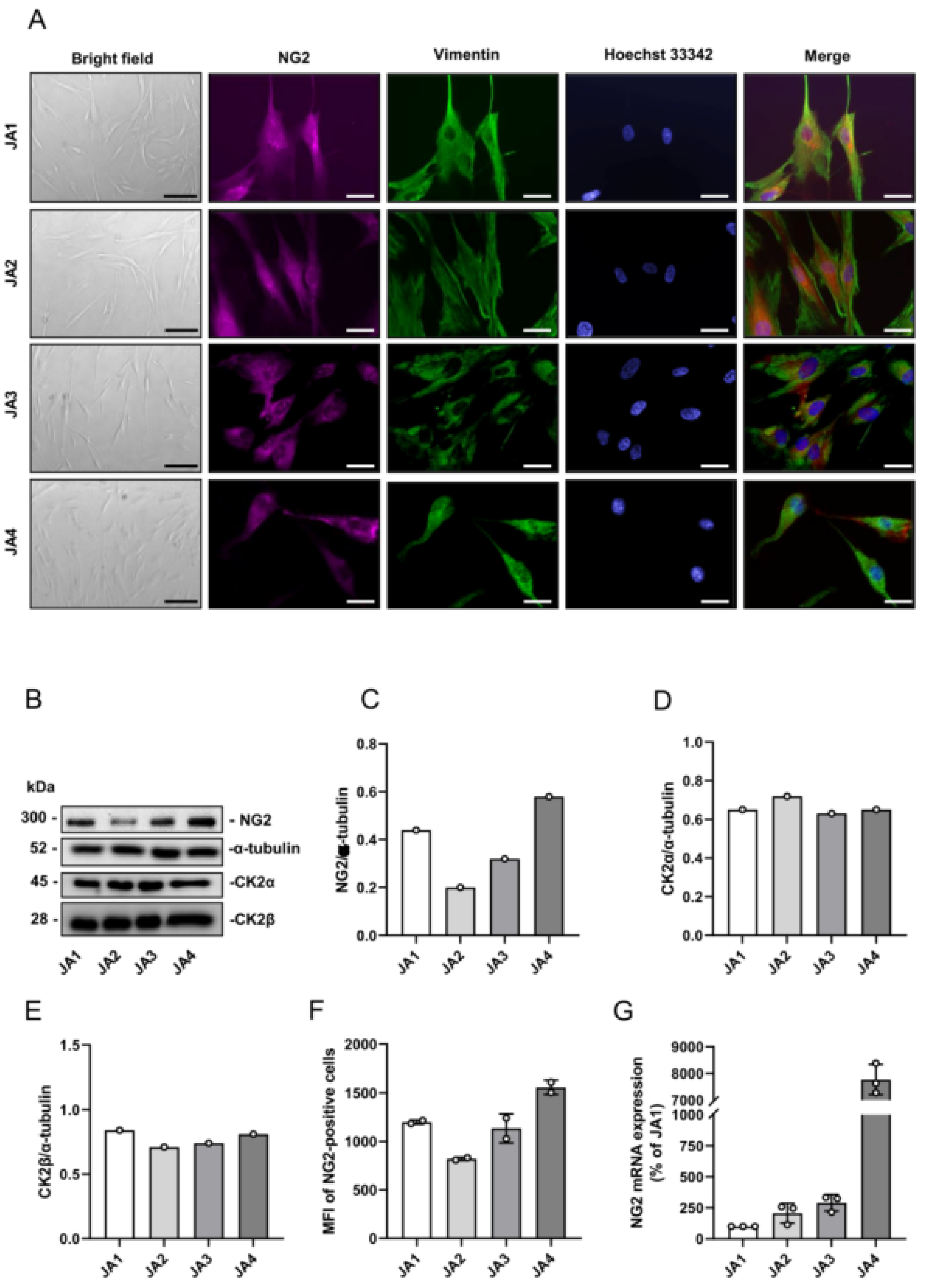 Biomedicines 10 00966 g002