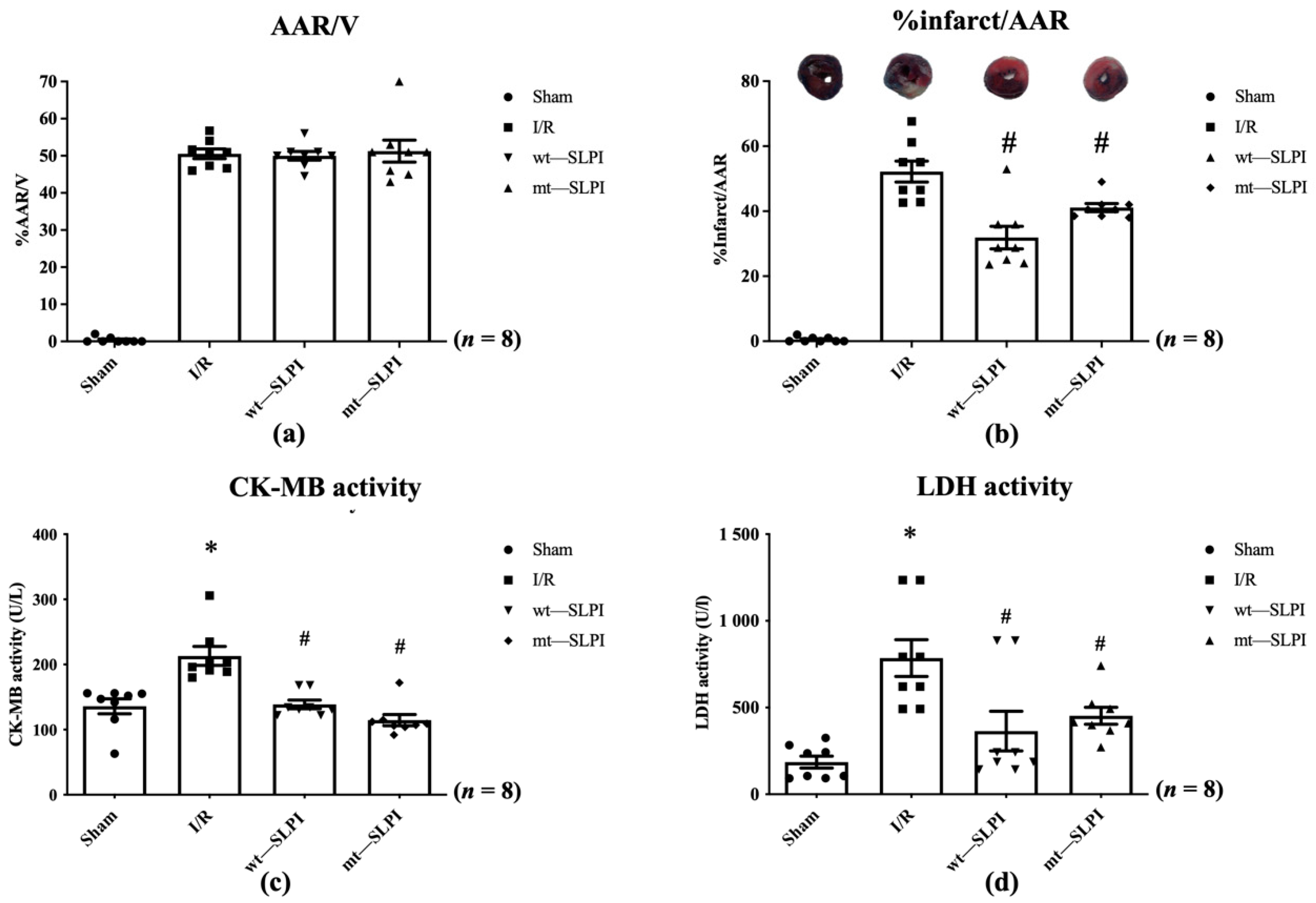 Biomedicines 10 00988 g004
