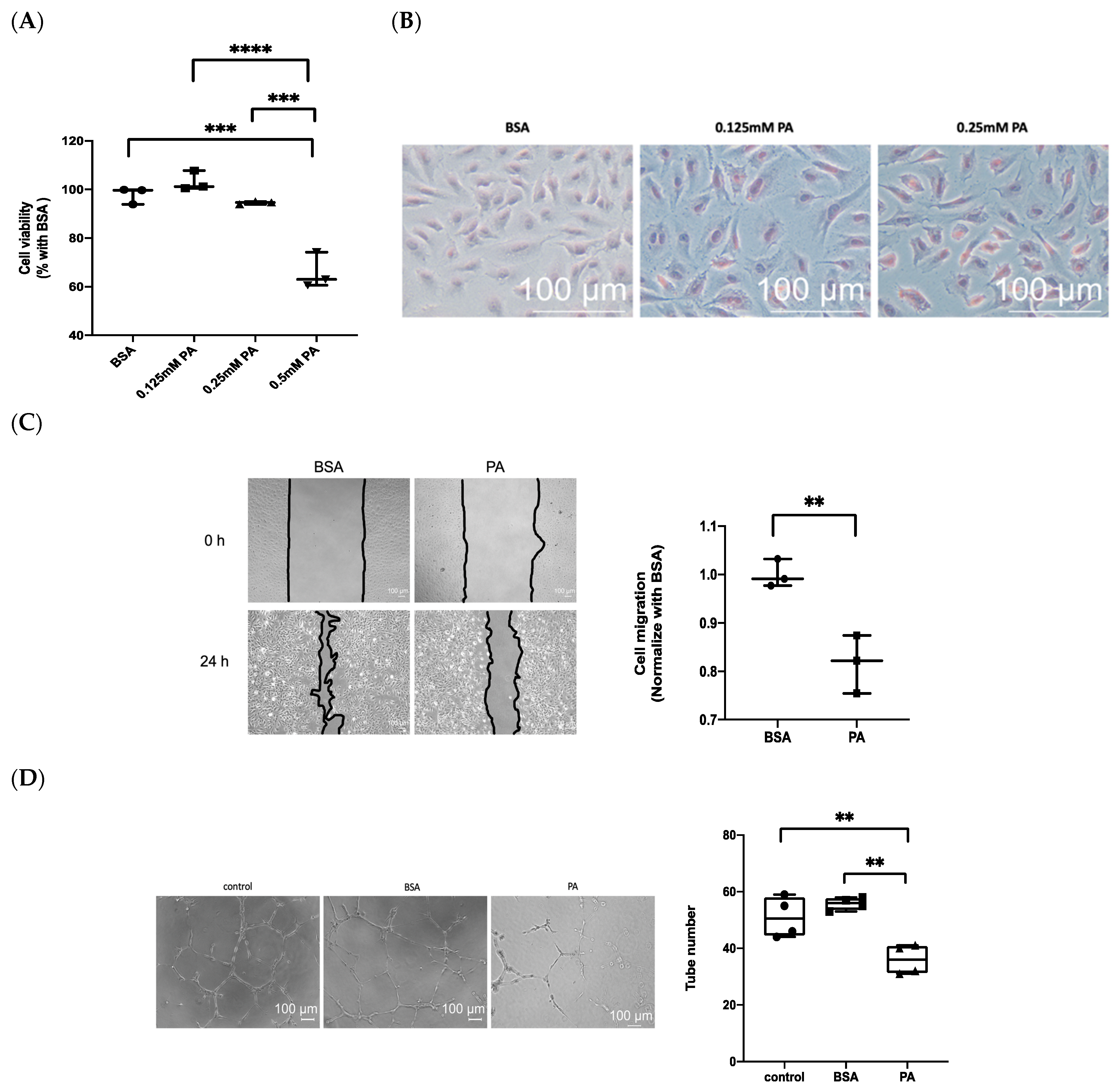 Biomedicines 10 00992 g002