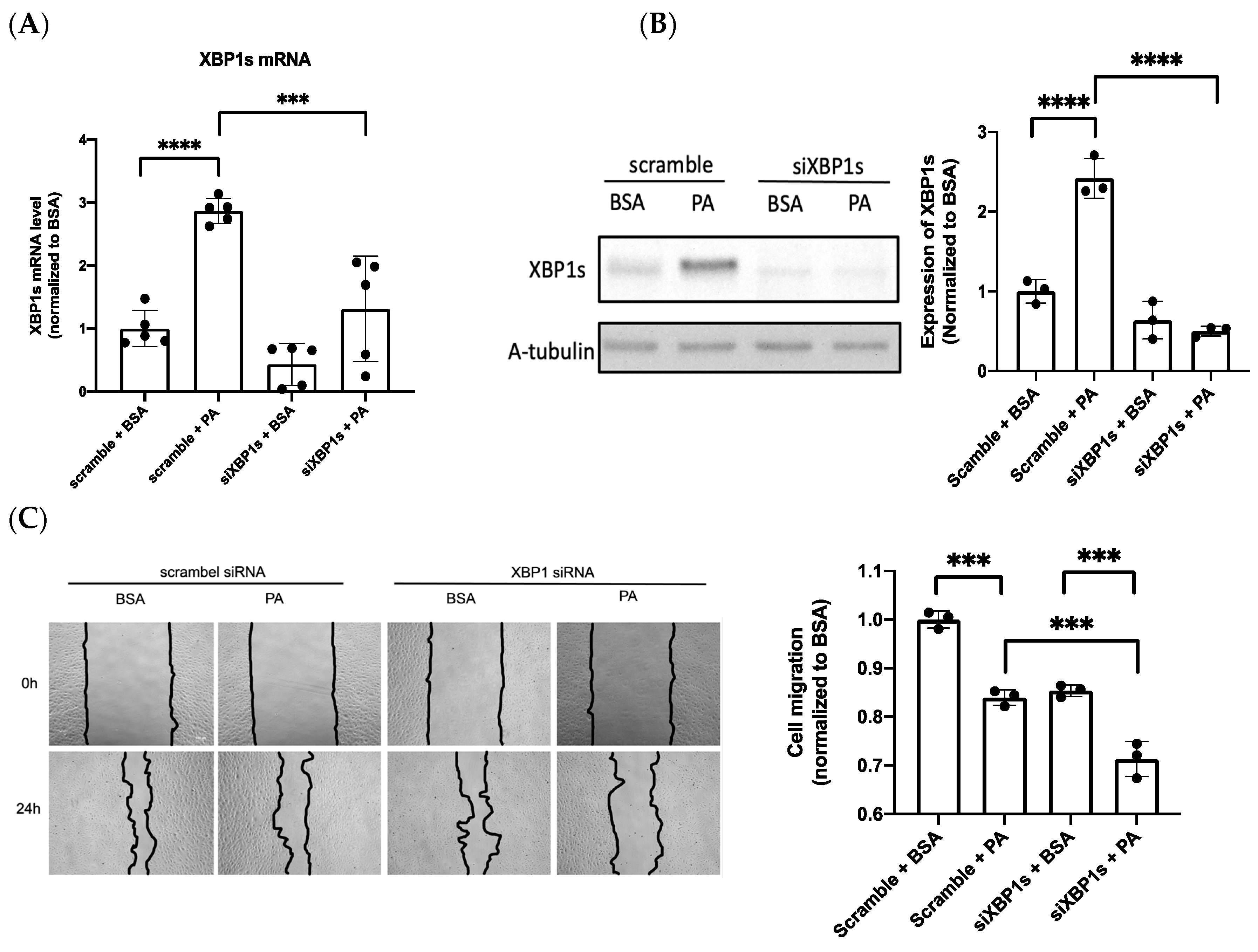 Biomedicines 10 00992 g003a