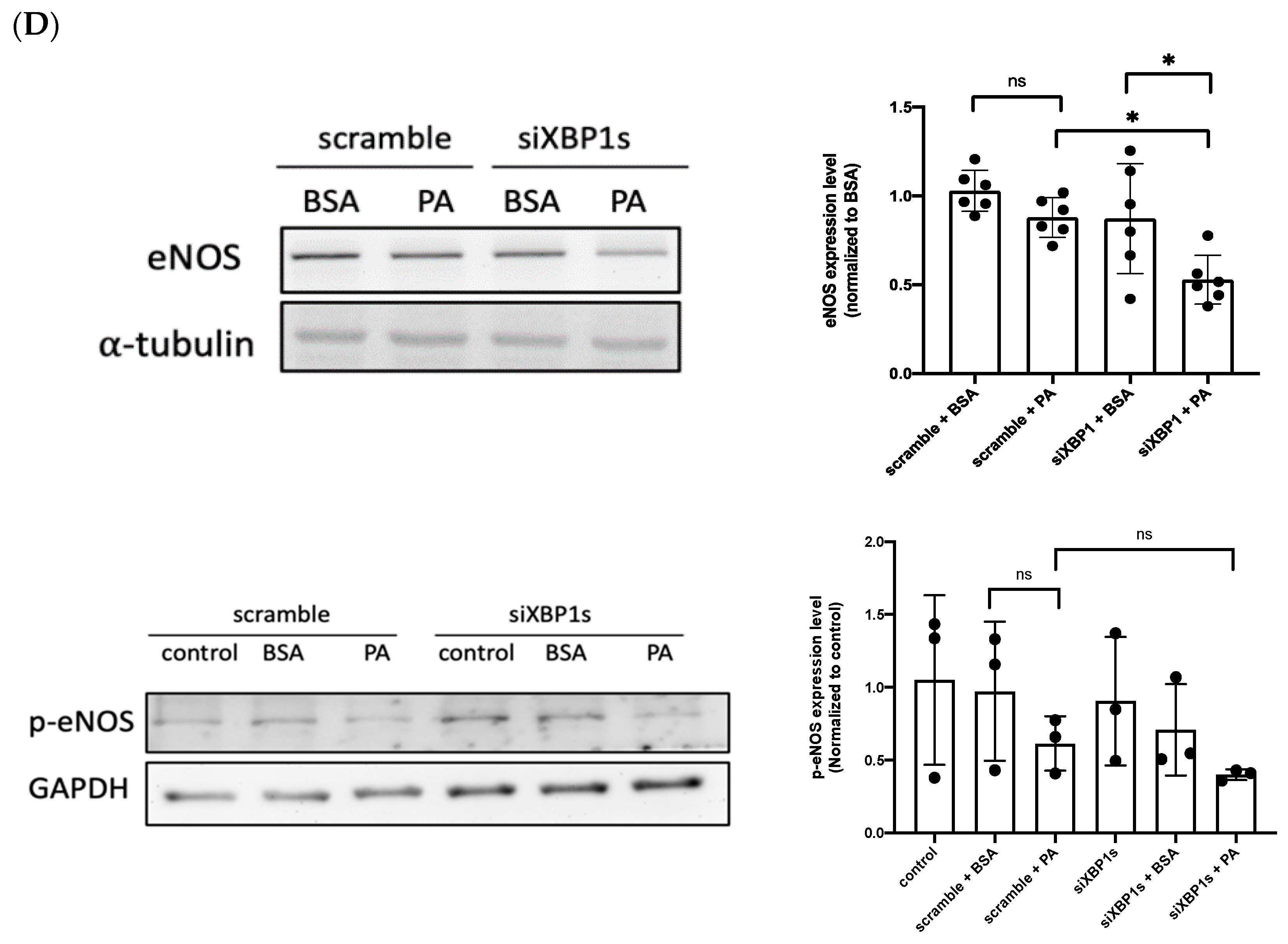 Biomedicines 10 00992 g003b