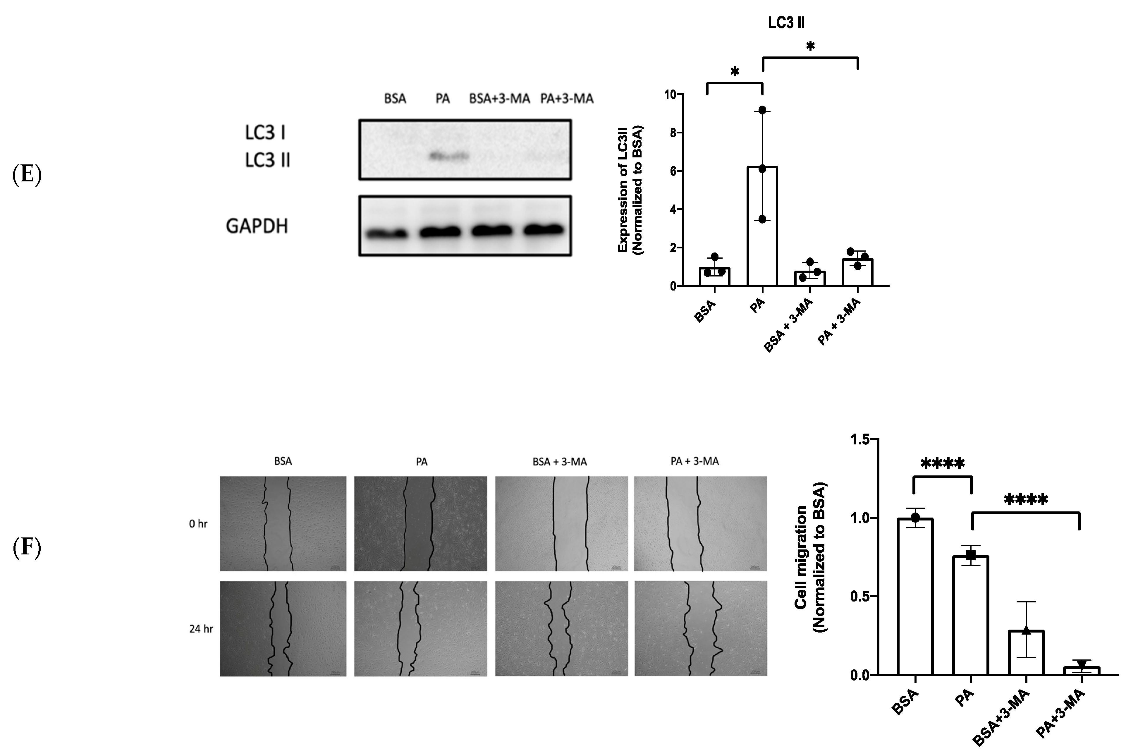 Biomedicines 10 00992 g004b