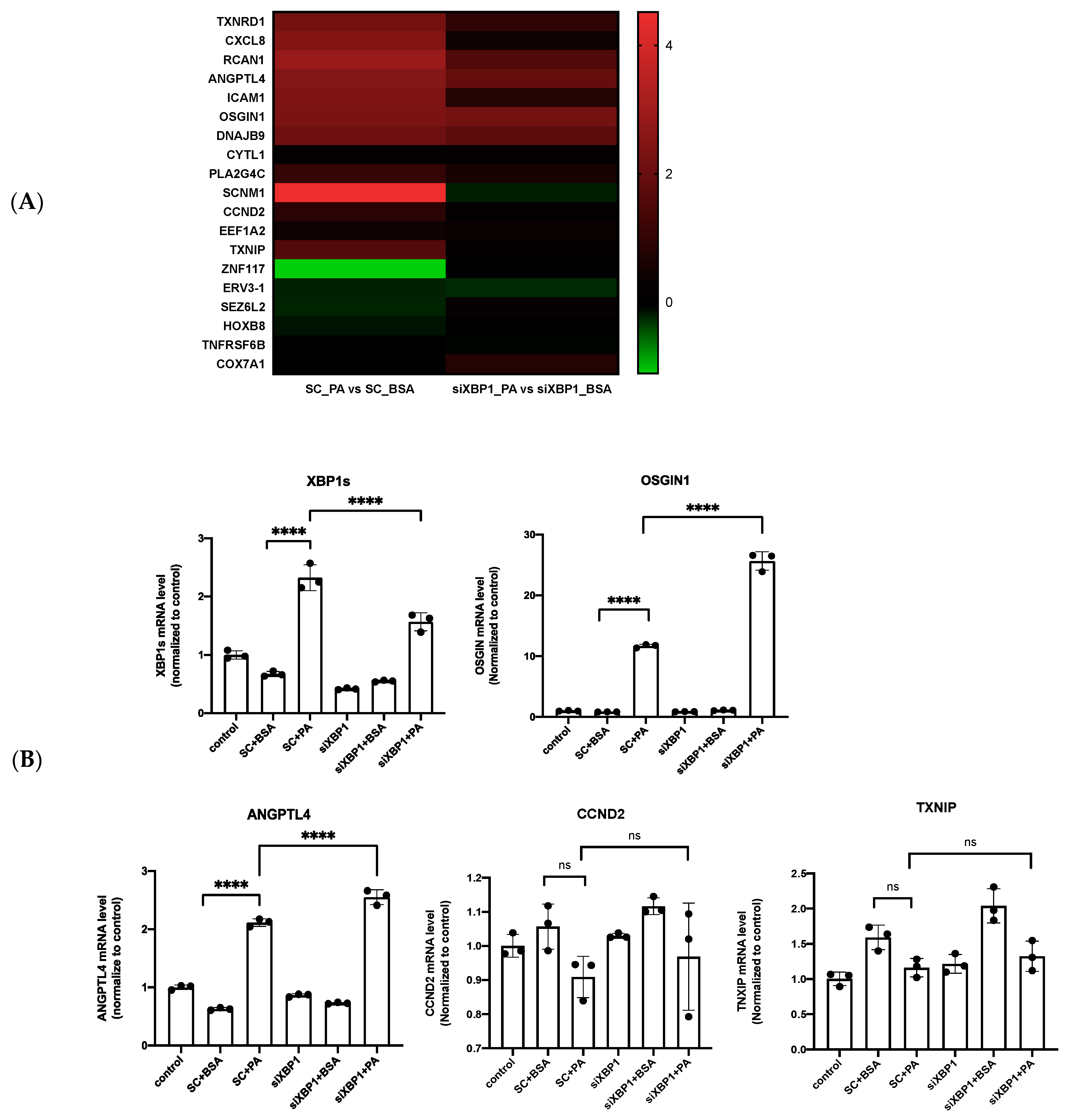 Biomedicines 10 00992 g005a