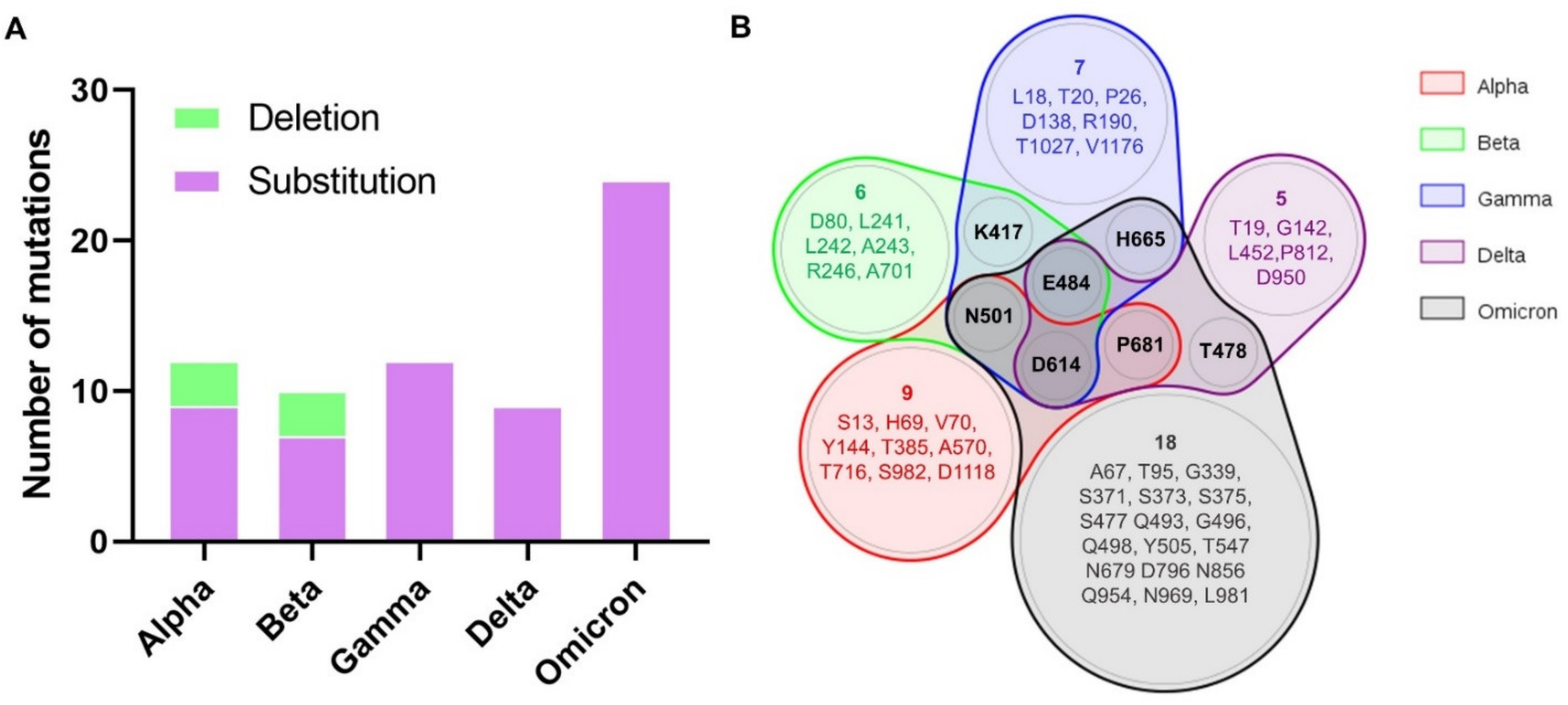 Biomedicines 10 00996 g001