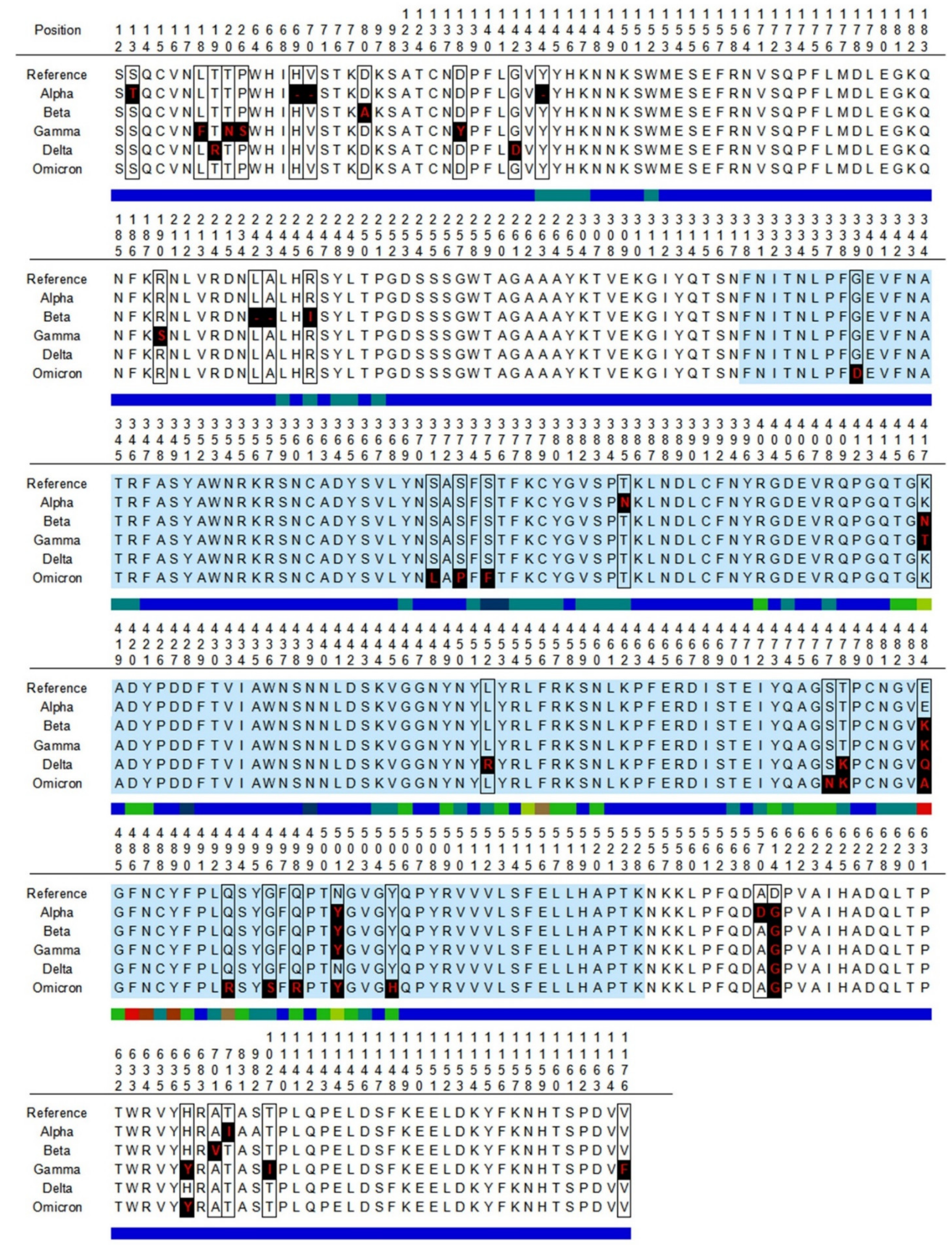 Biomedicines 10 00996 g003