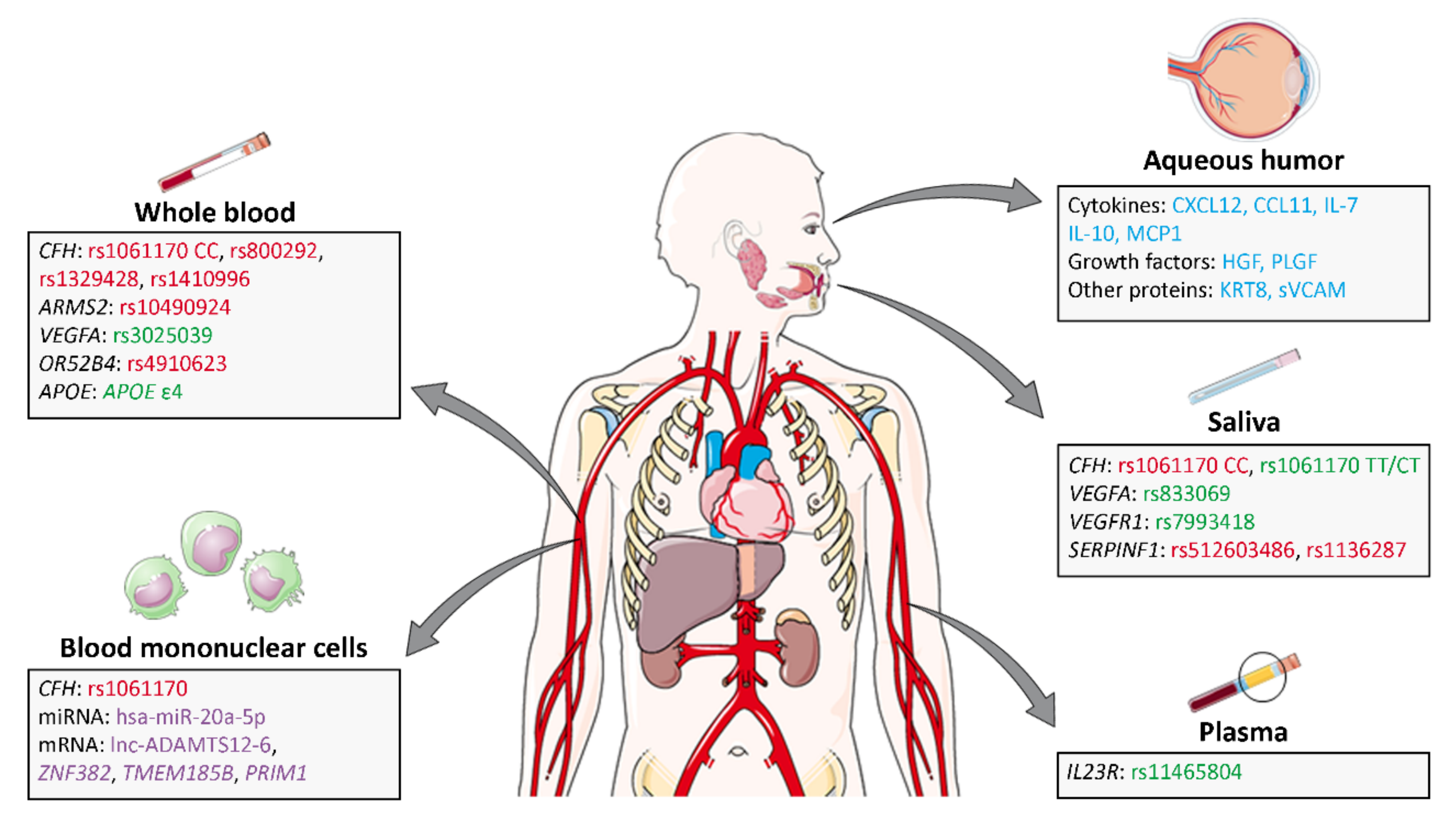 Biomedicines 10 01003 g003 Biomedicines 10 01003 g003