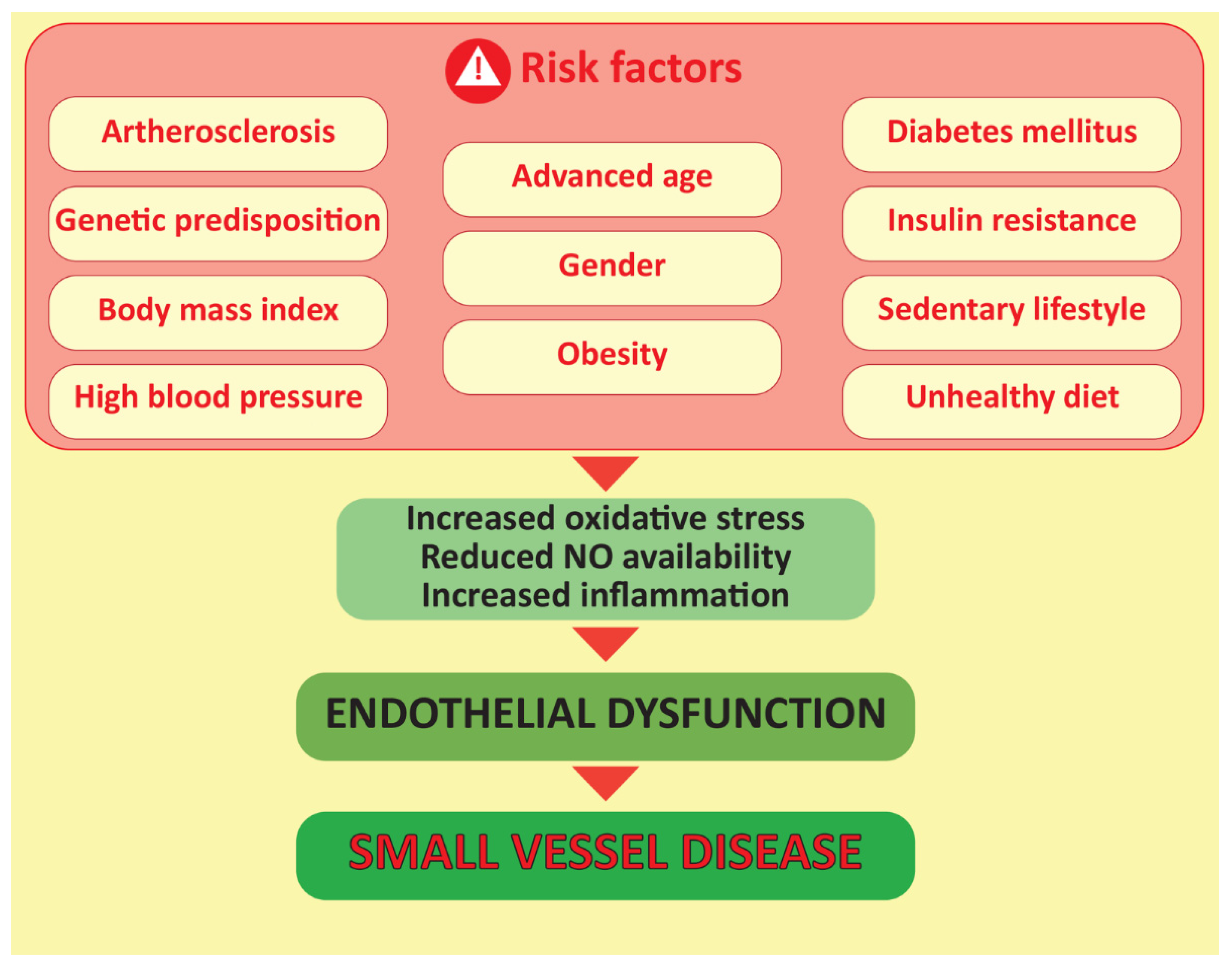 Biomedicines 10 01009 g001 Biomedicines 10 01009 g001
