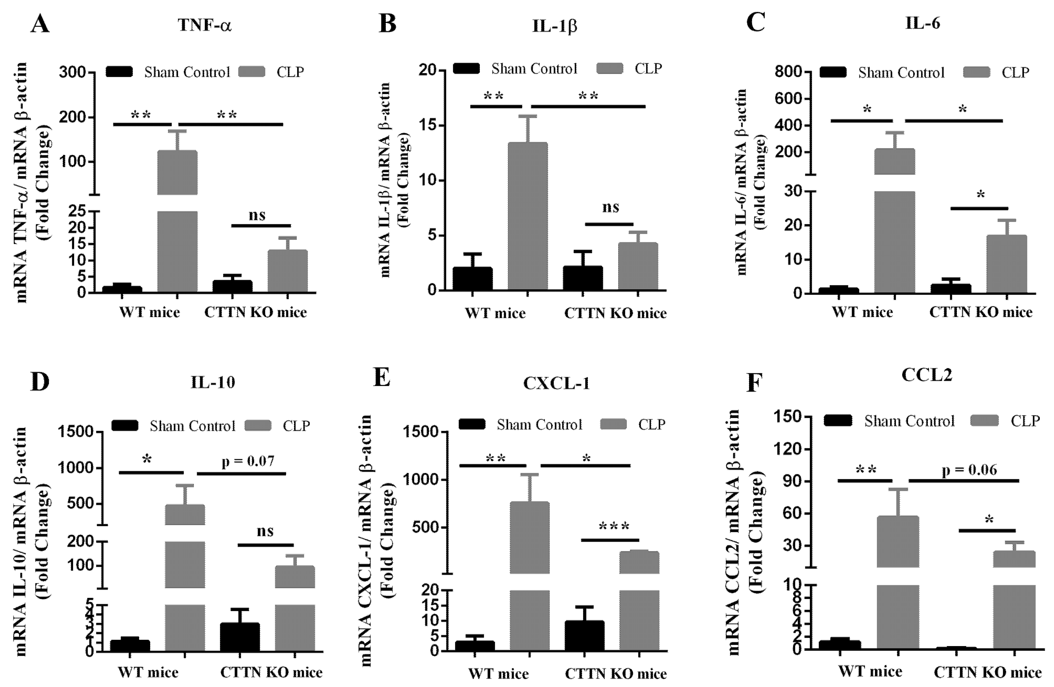 Biomedicines 10 01019 g002