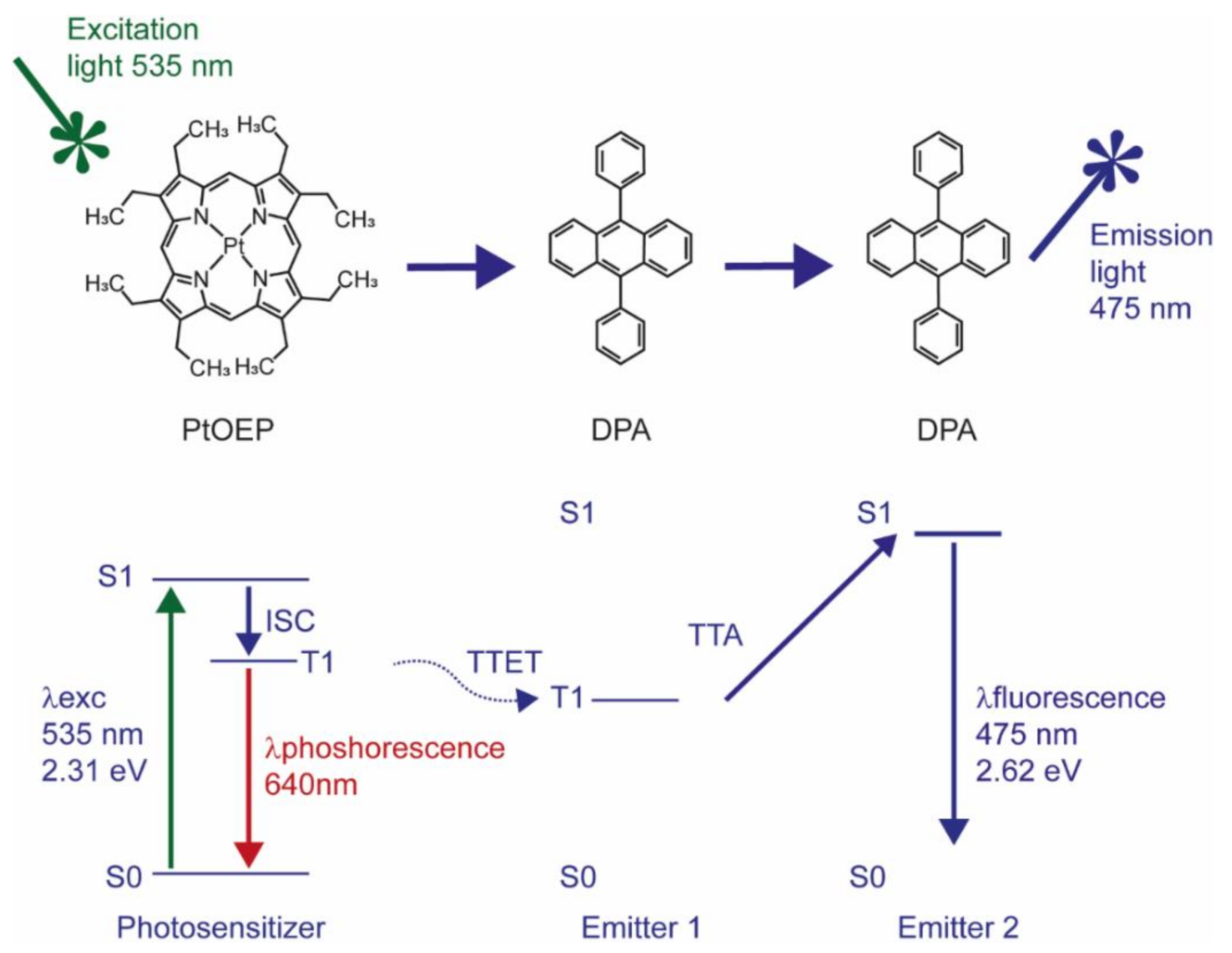 Biomedicines 10 01070 g001