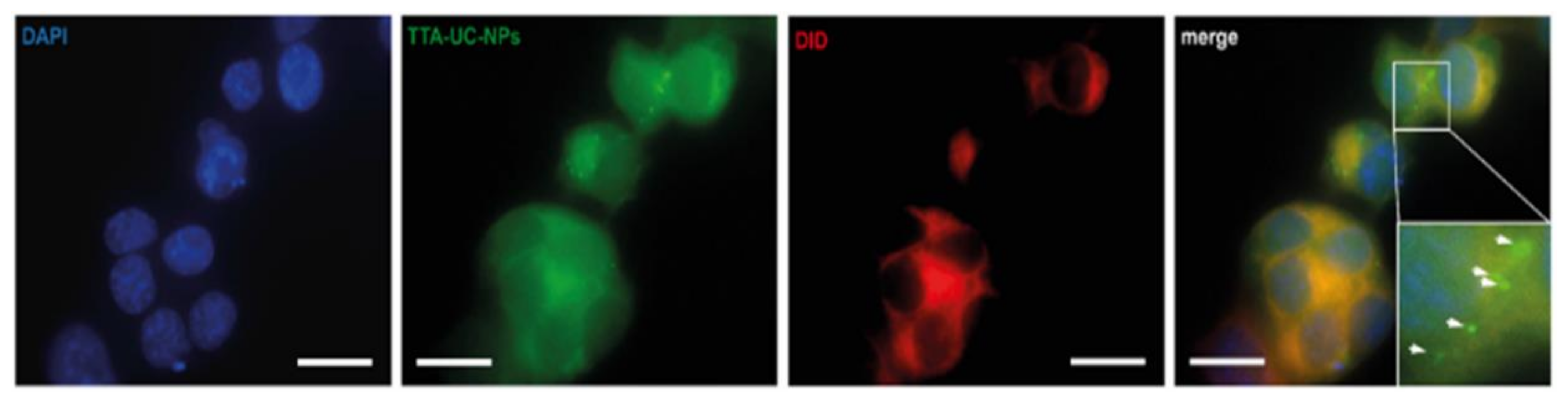 Biomedicines 10 01070 g005