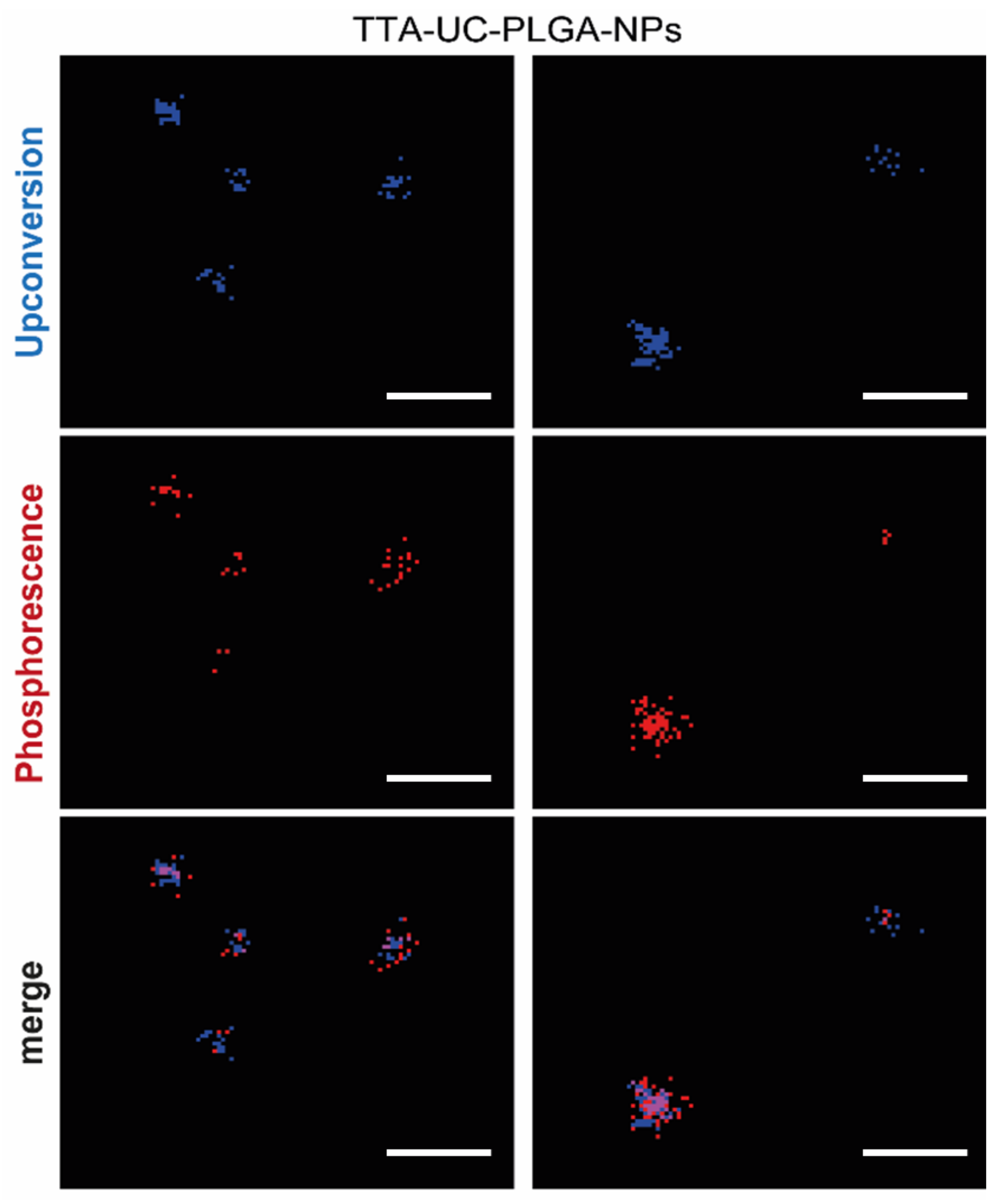 Biomedicines 10 01070 g006