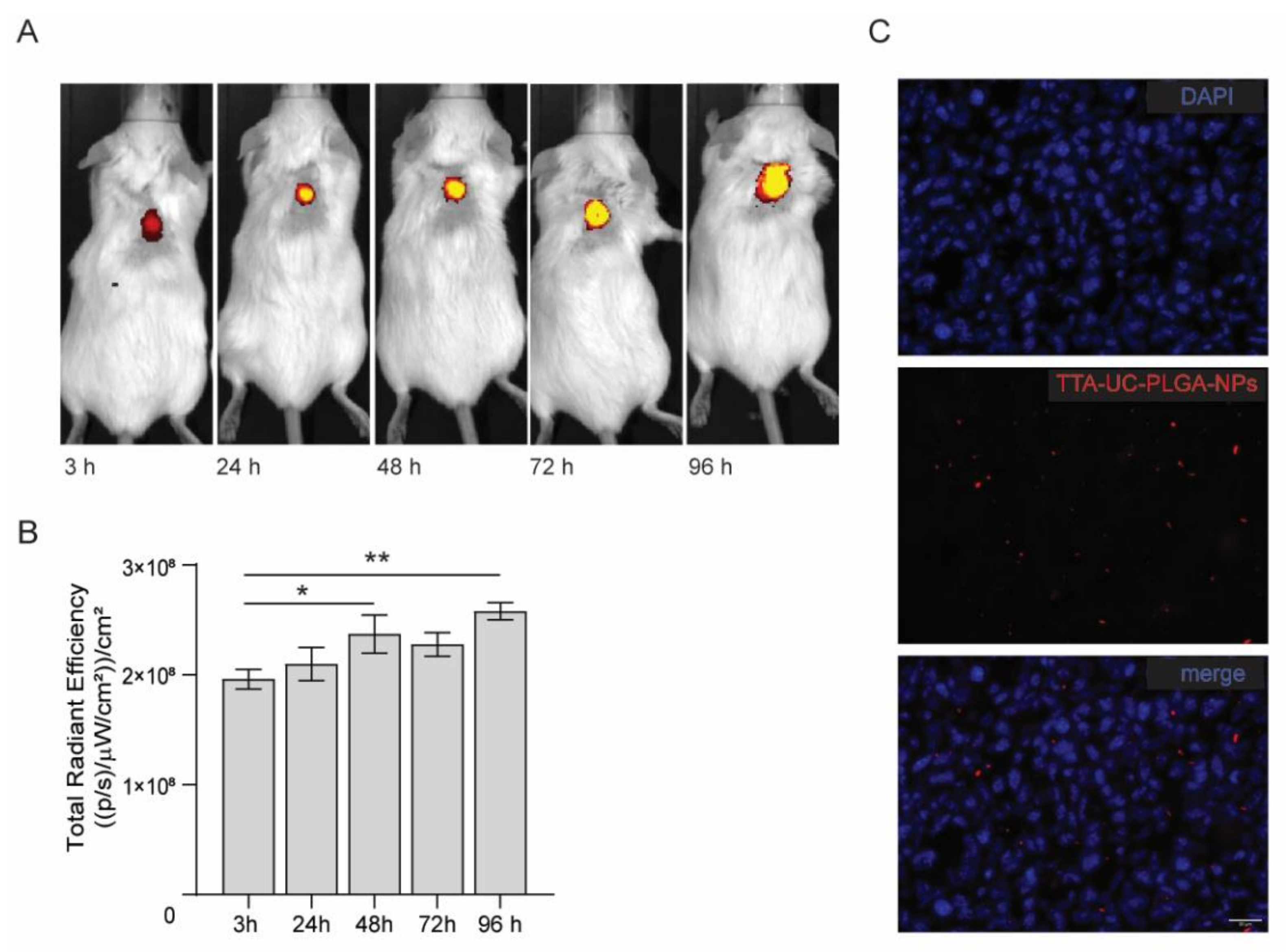Biomedicines 10 01070 g008