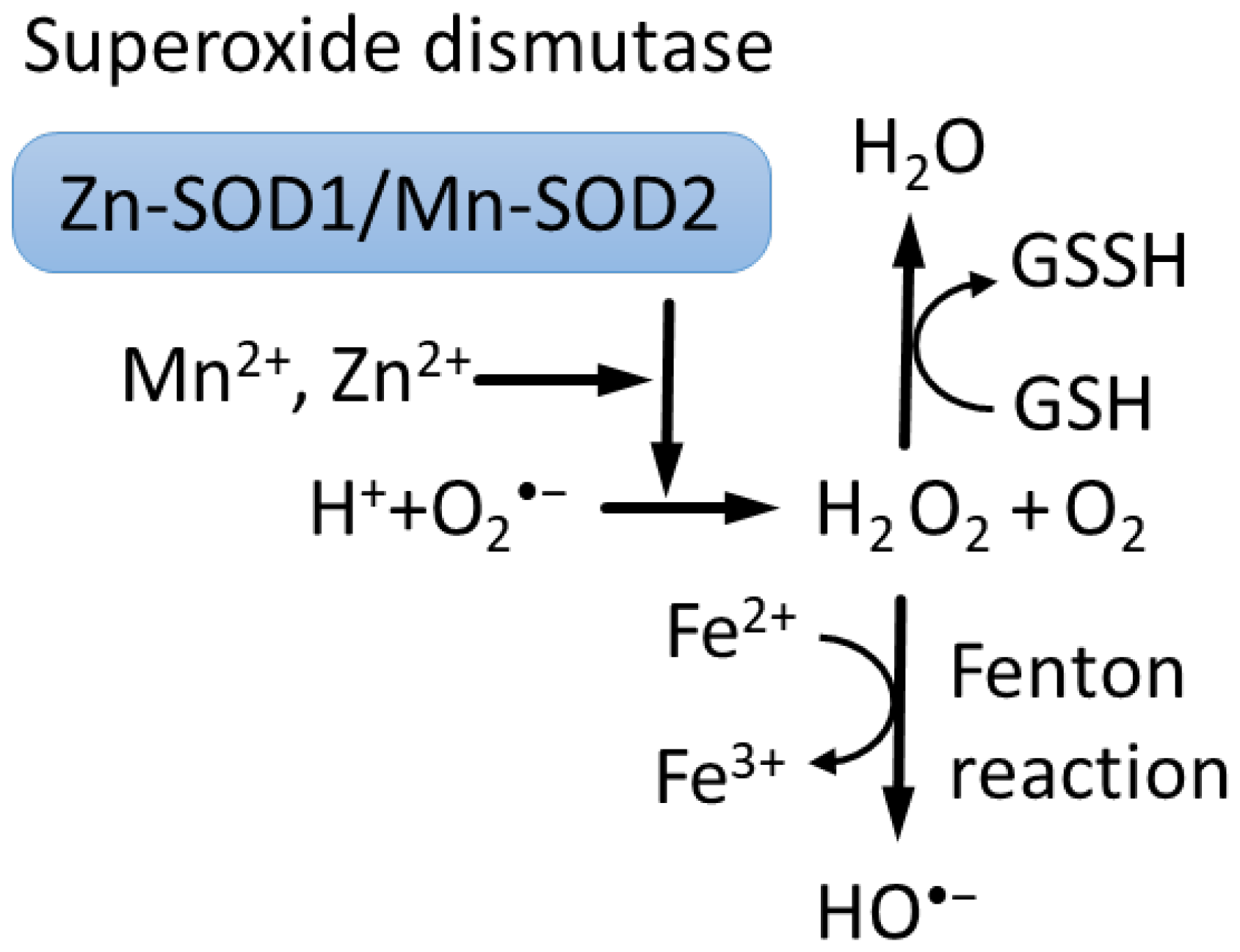 Biomedicines 10 01072 g001
