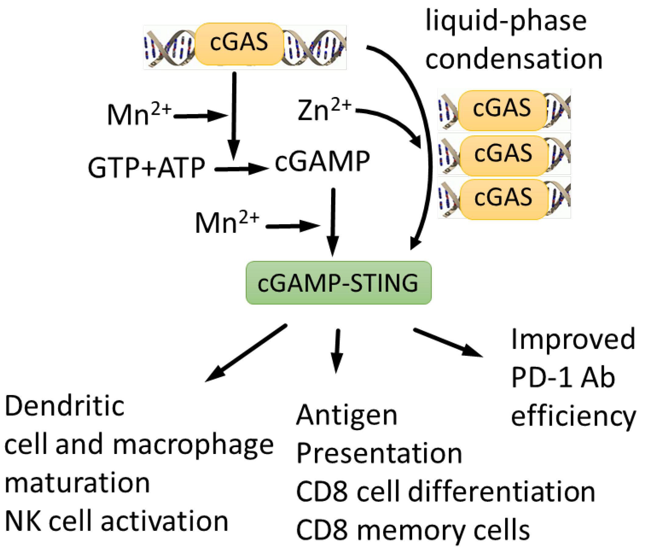 Biomedicines 10 01072 g005
