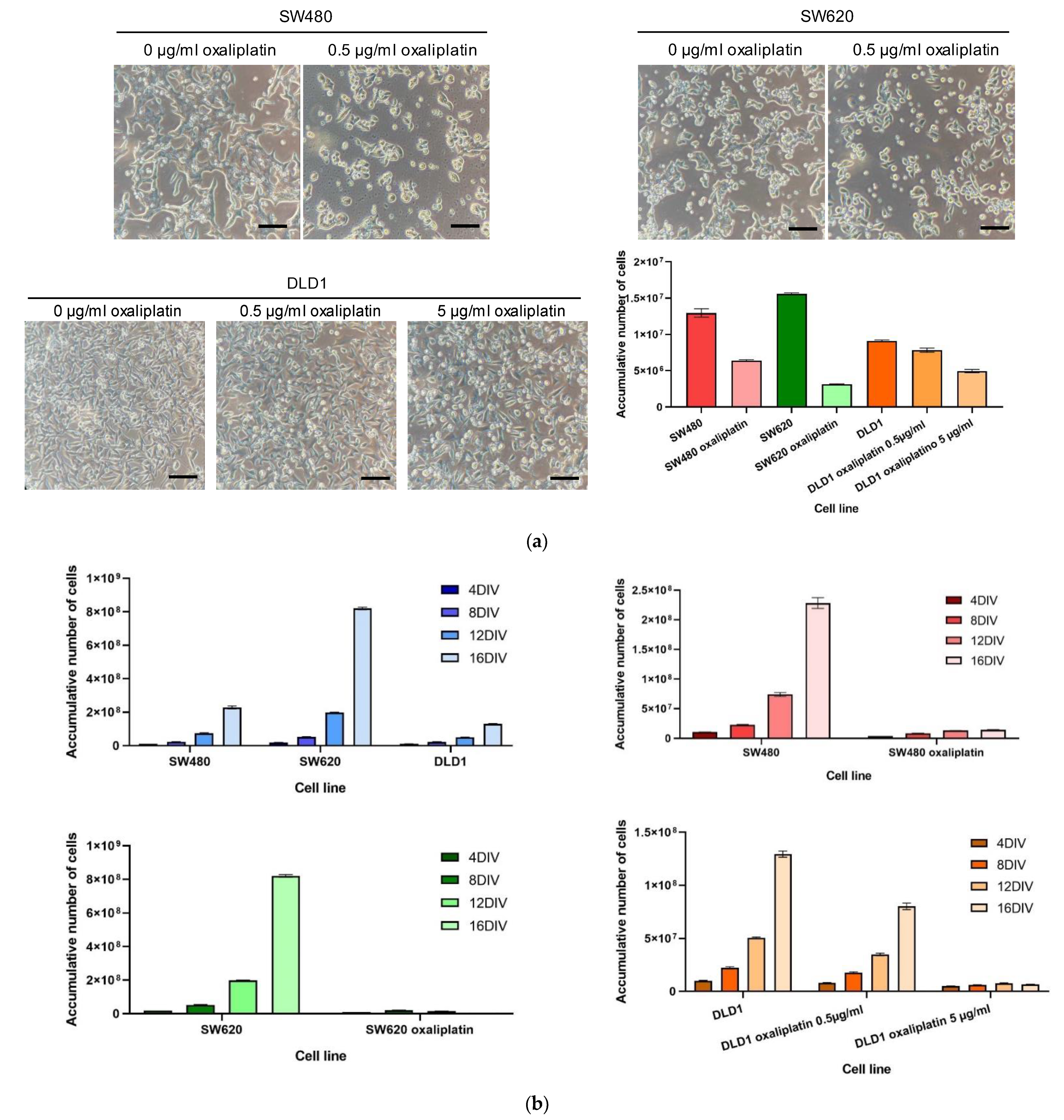 Biomedicines 10 01083 g004 Biomedicines 10 01083 g004