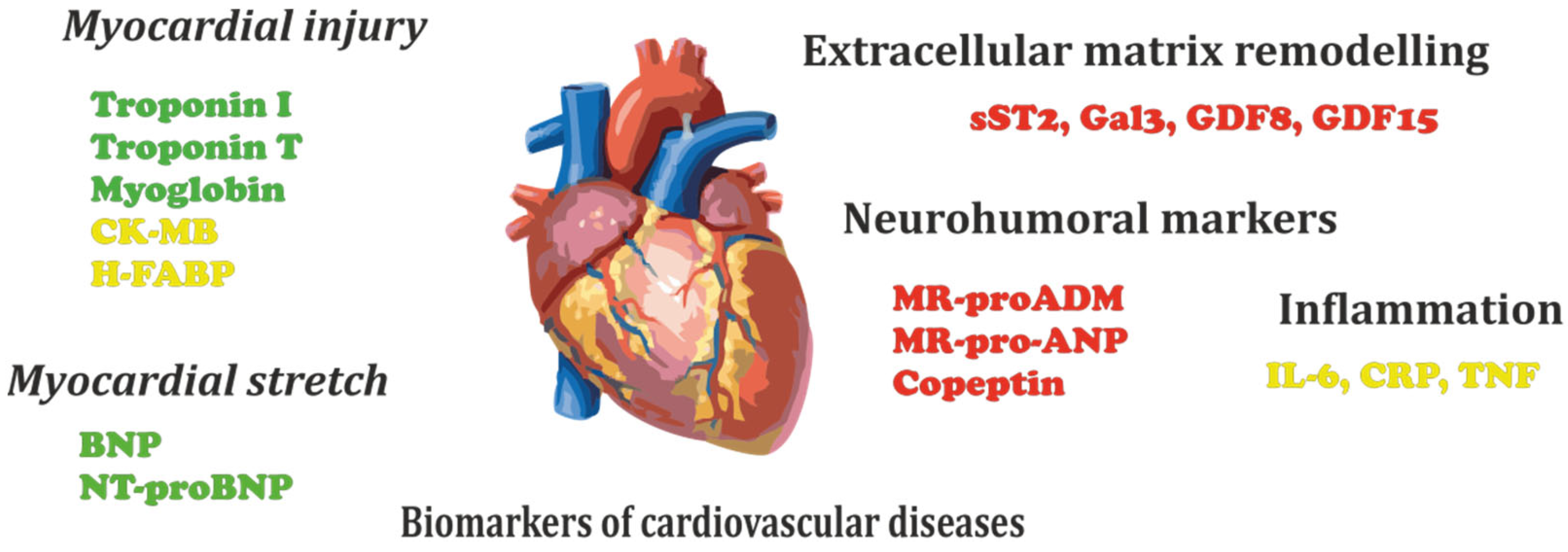 Biomedicines | Free Full-Text | Aptamers Targeting Cardiac Biomarkers as an  Analytical Tool for the Diagnostics of Cardiovascular Diseases: A Review