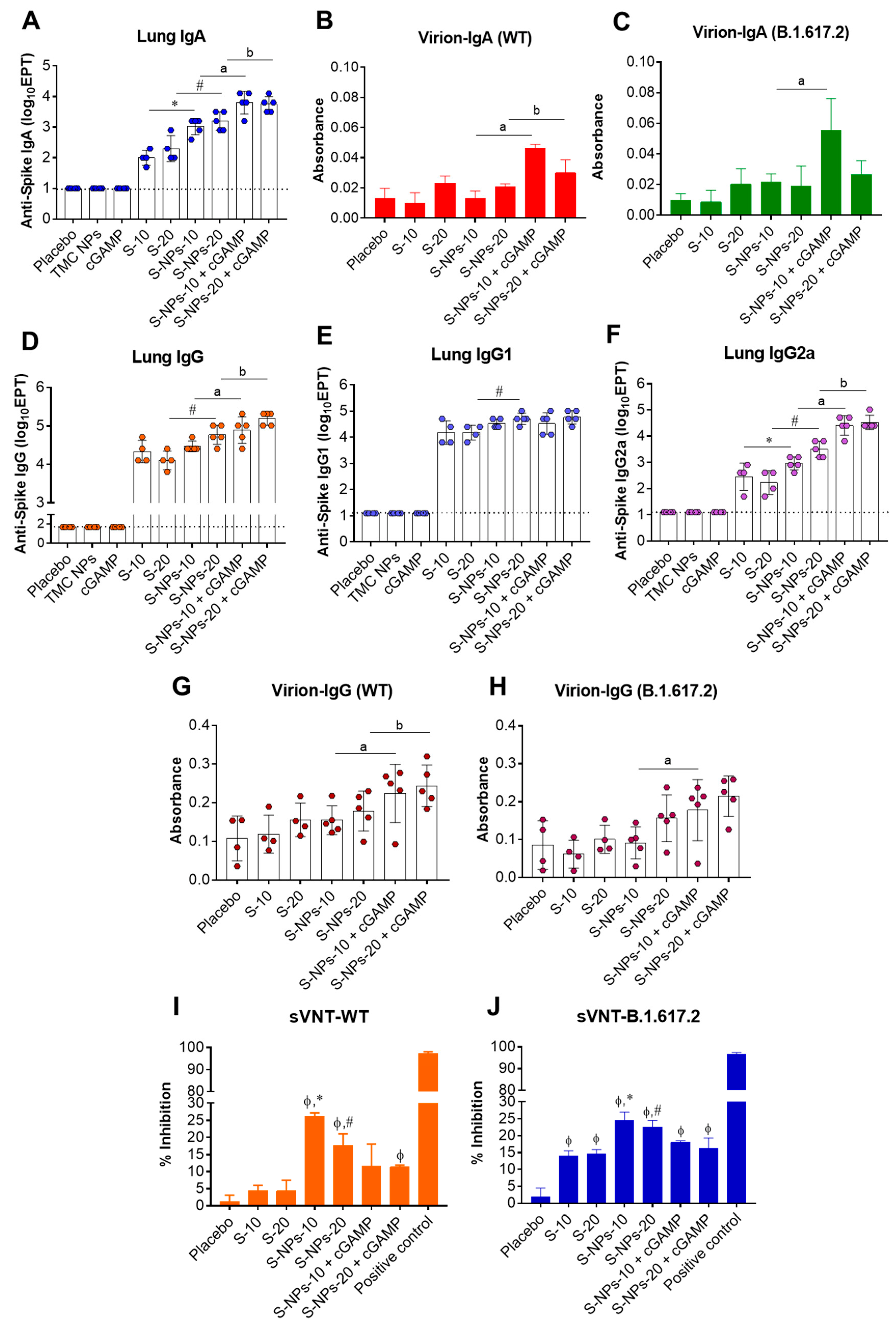 Biomedicines 10 01142 g003 Biomedicines 10 01142 g003