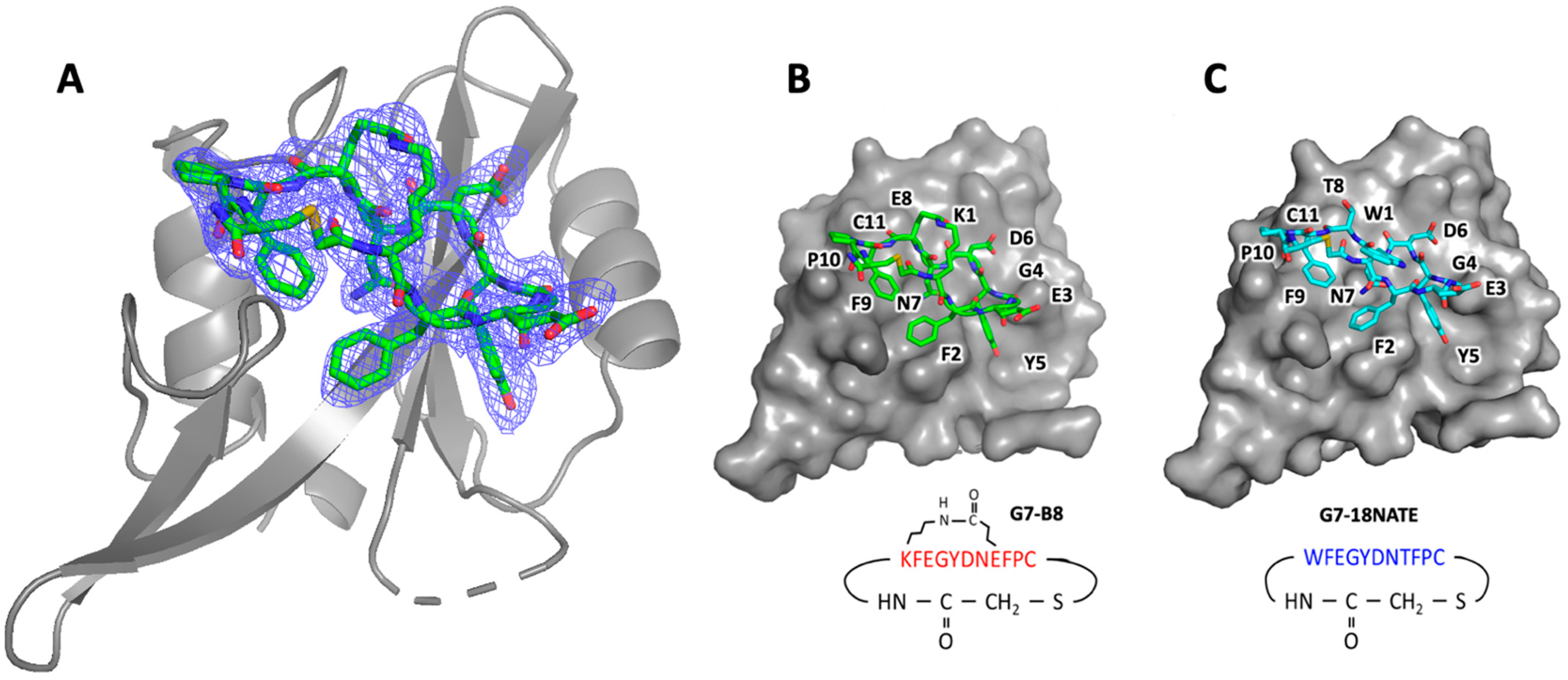 Biomedicines 10 01145 g003
