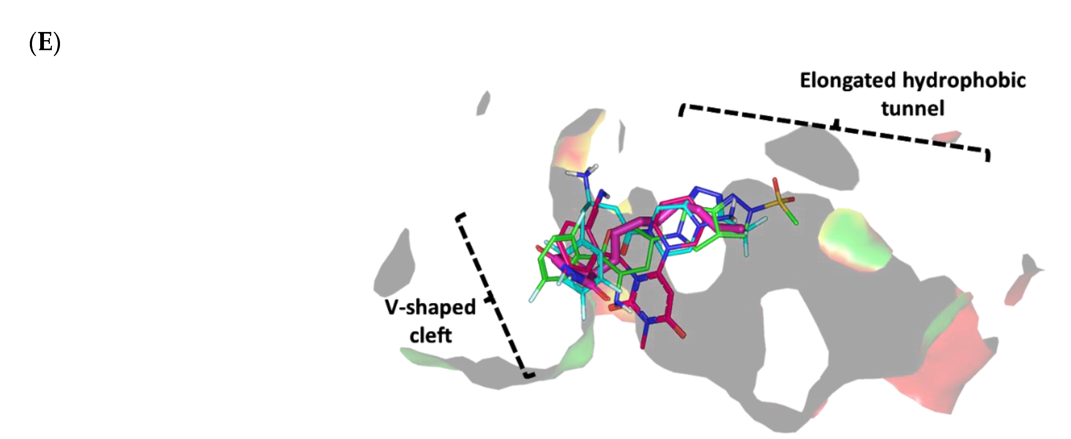 Biomedicines 10 01169 g007b Biomedicines 10 01169 g007b