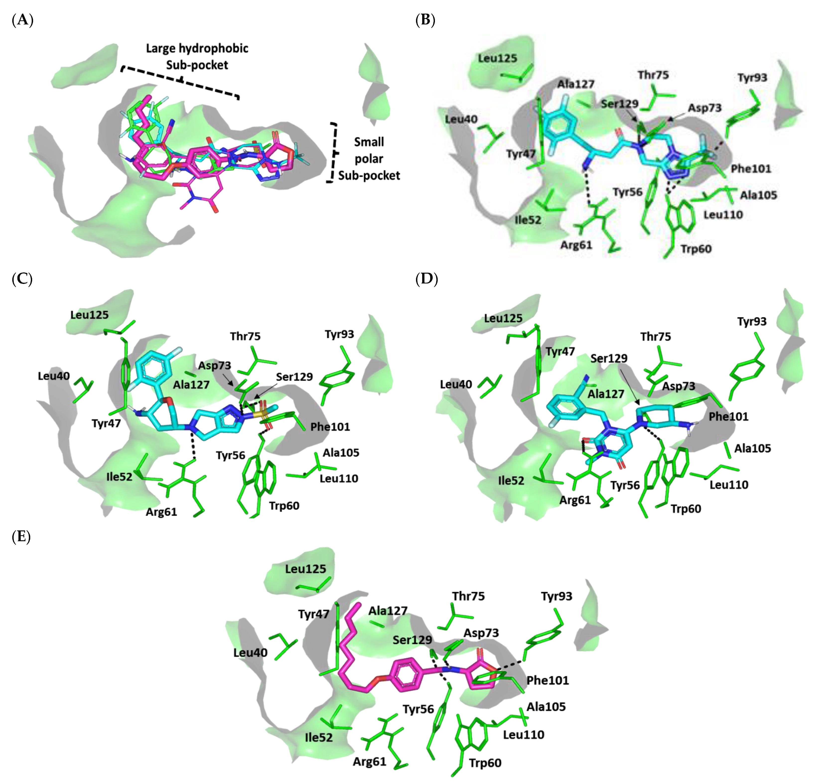 Biomedicines 10 01169 g009 Biomedicines 10 01169 g009