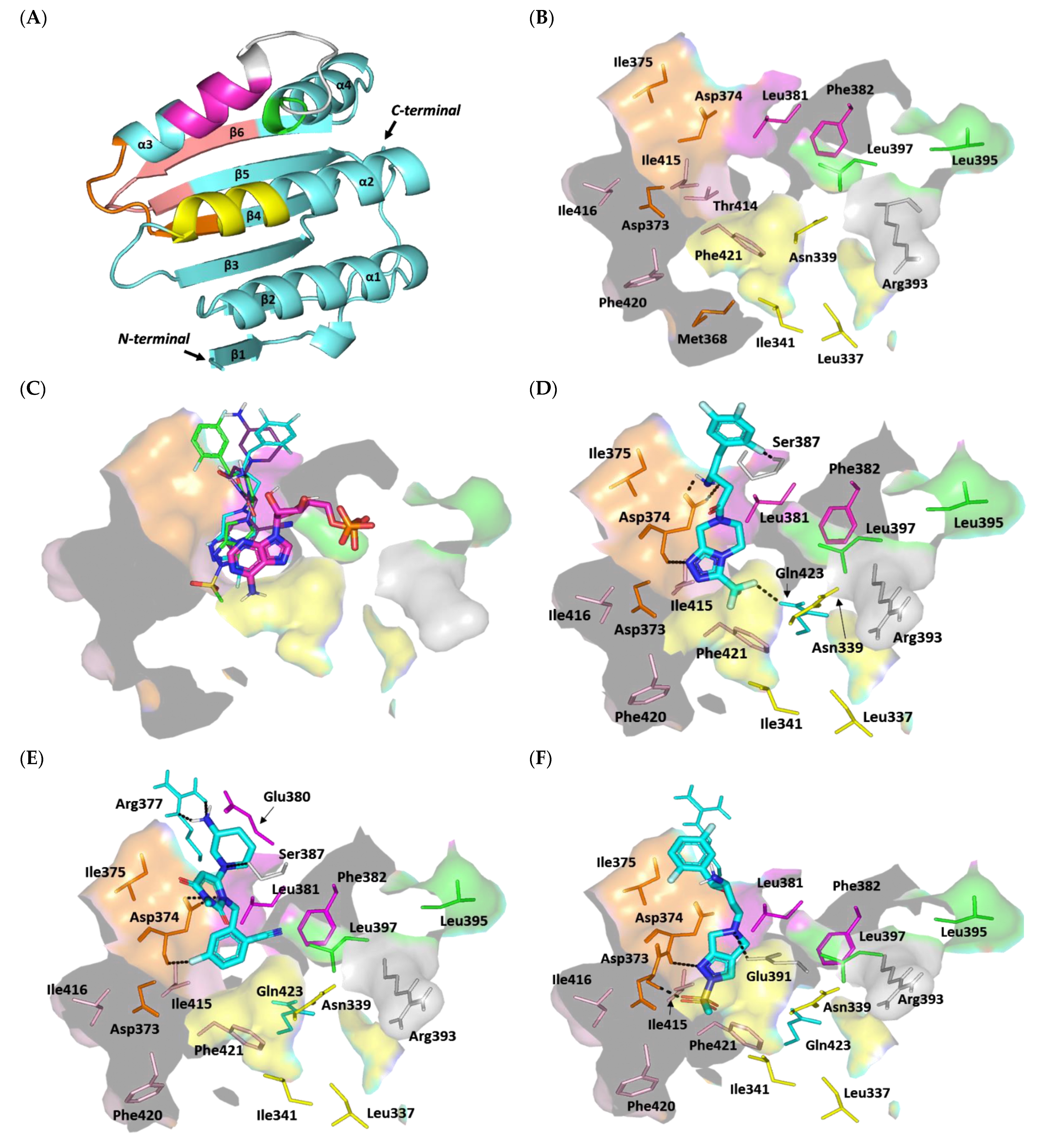 Biomedicines 10 01169 g010a Biomedicines 10 01169 g010a