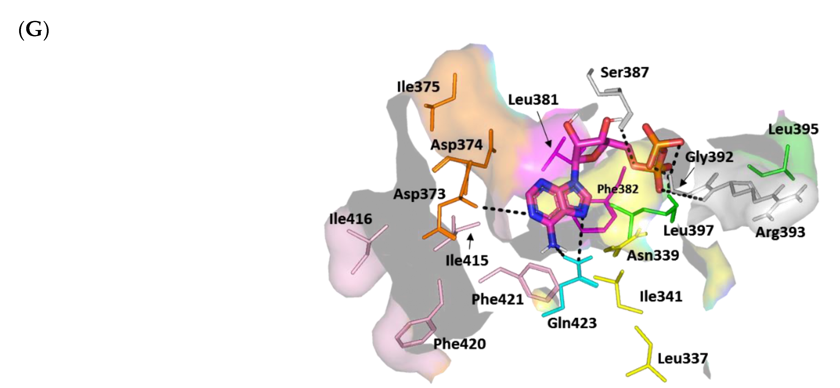 Biomedicines 10 01169 g010b Biomedicines 10 01169 g010b