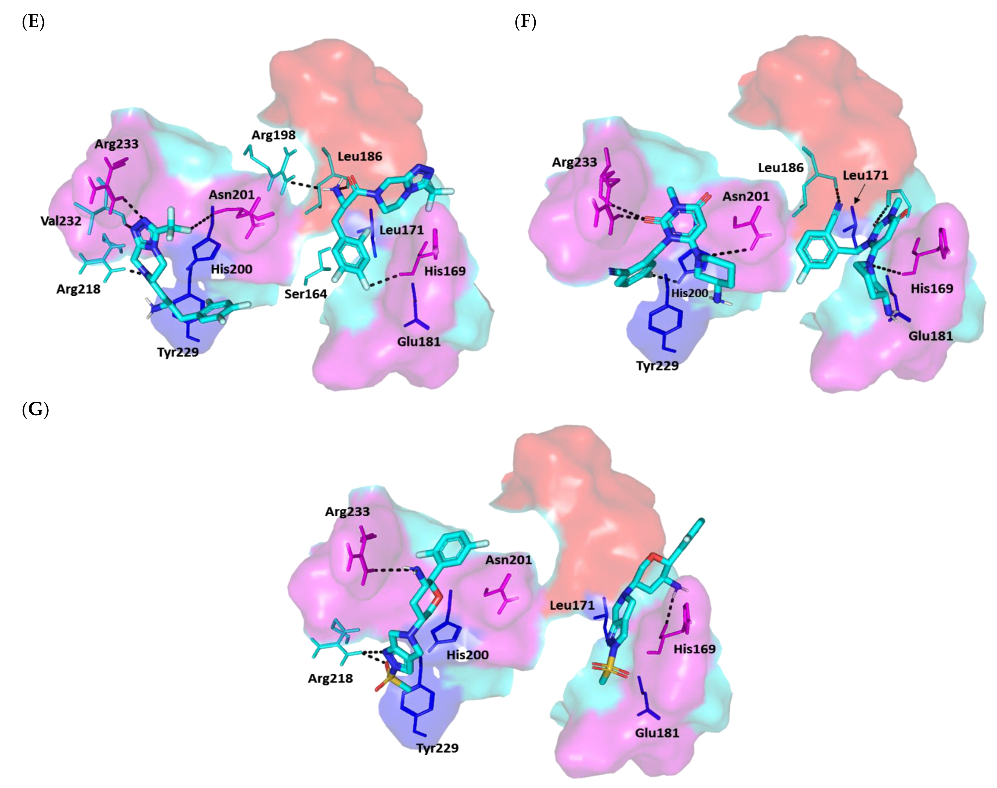 Biomedicines 10 01169 g011b Biomedicines 10 01169 g011b