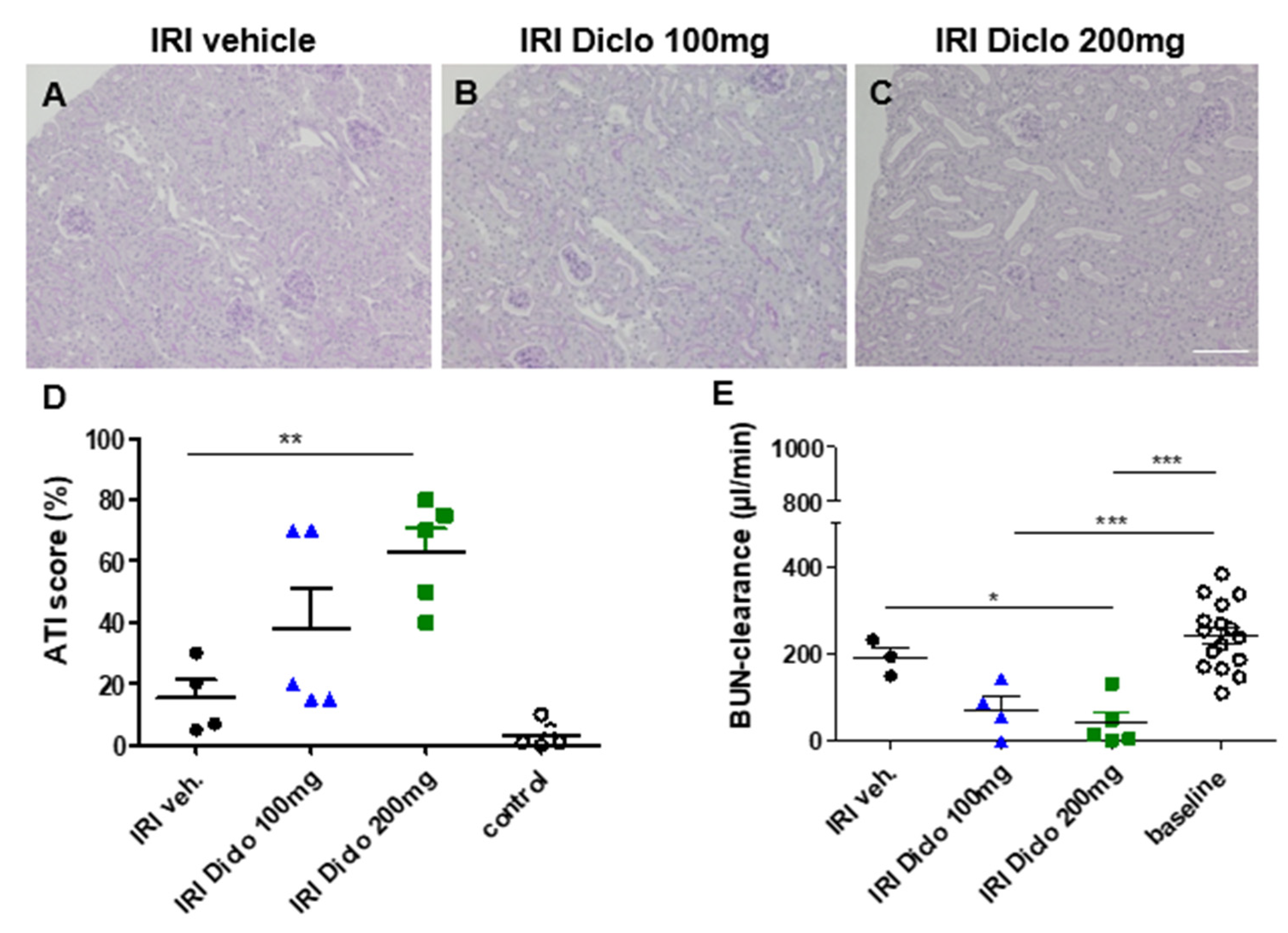 Biomedicines | Free Full-Text | A Single Oral Dose of Diclofenac Causes  Transition of Experimental Subclinical Acute Kidney Injury to Chronic  Kidney Disease
