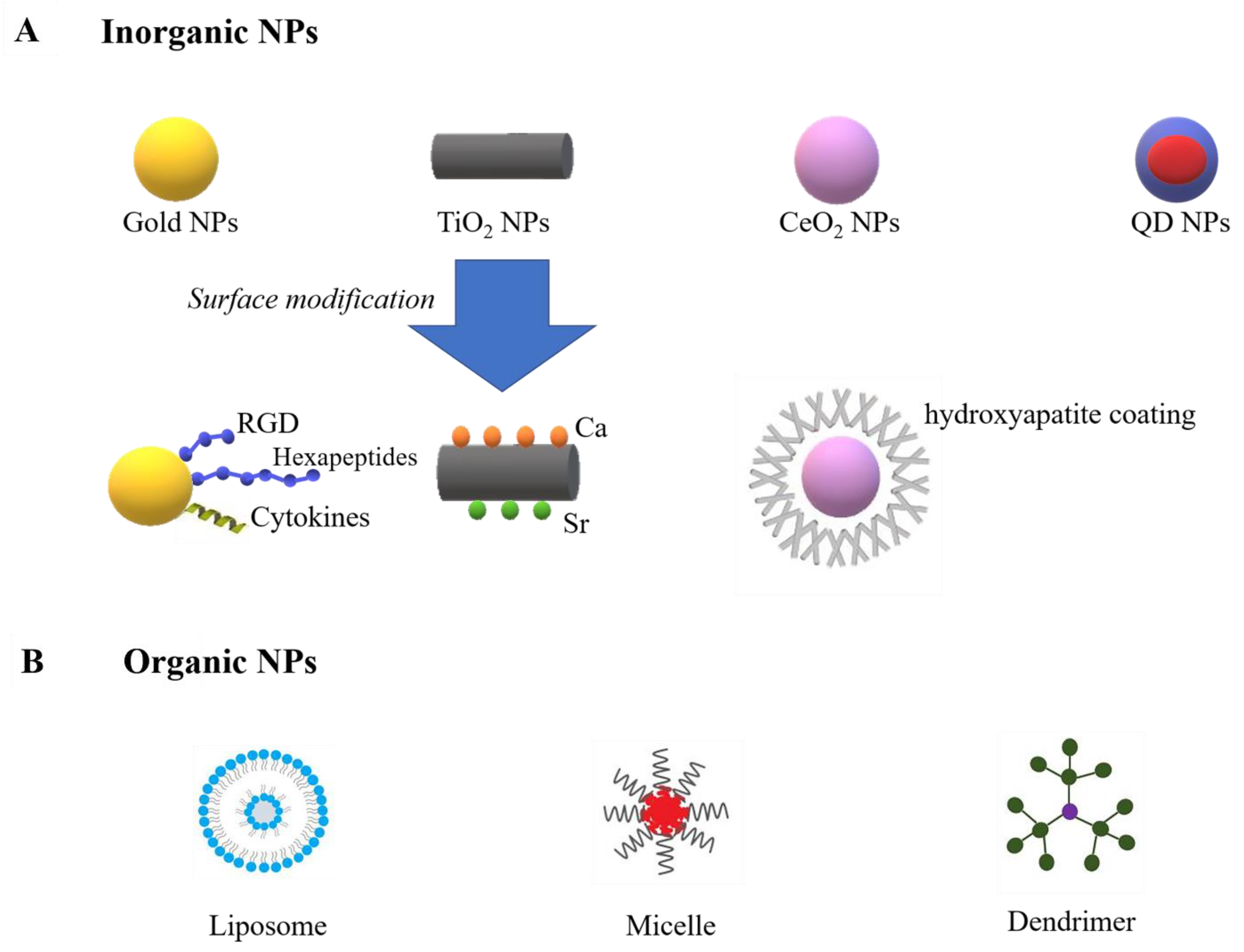 Biomedicines | Free Full-Text | Current Development of Nano-Drug Delivery  to Target Macrophages | HTML
