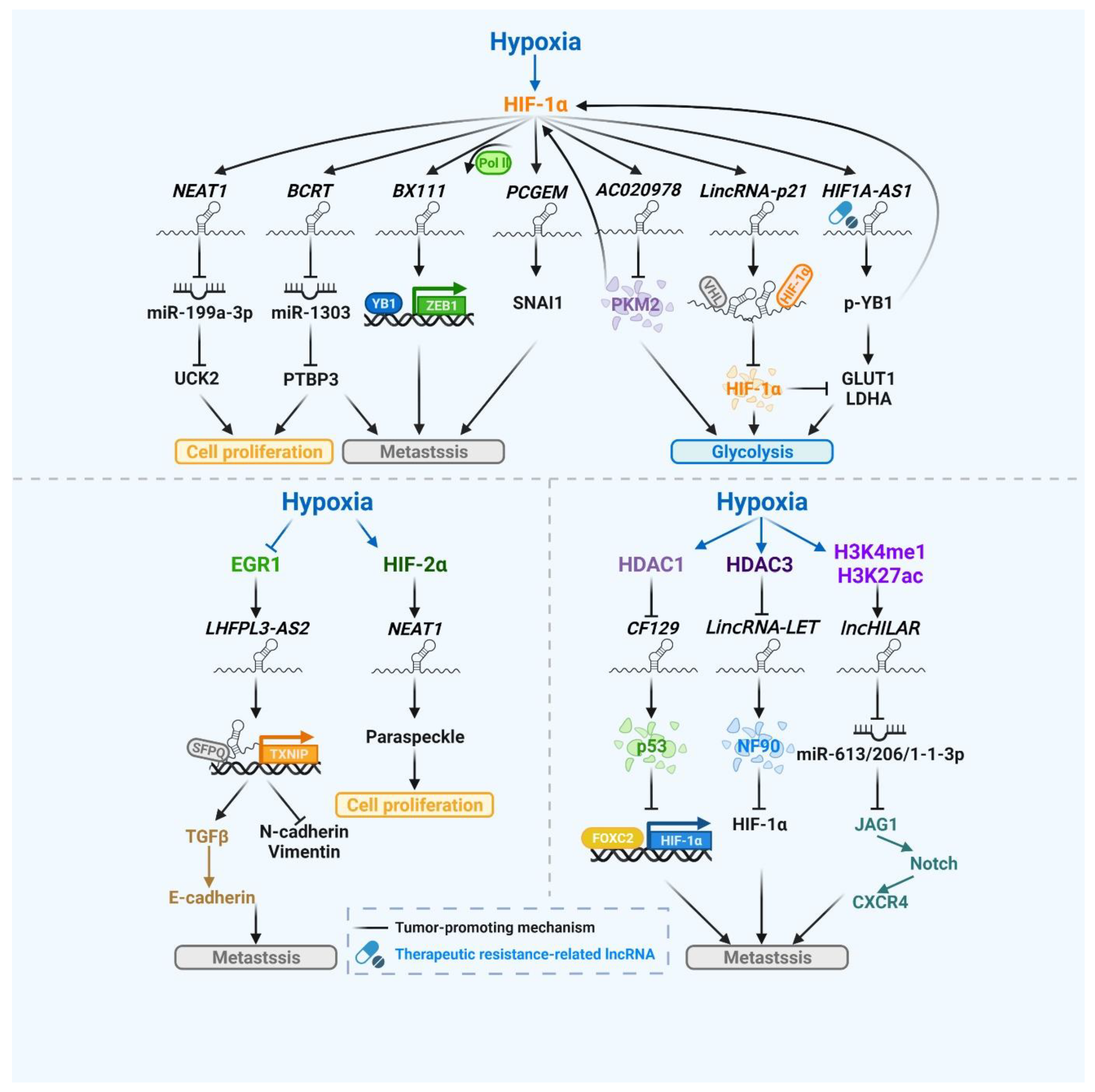 Biomedicines 10 01212 g002