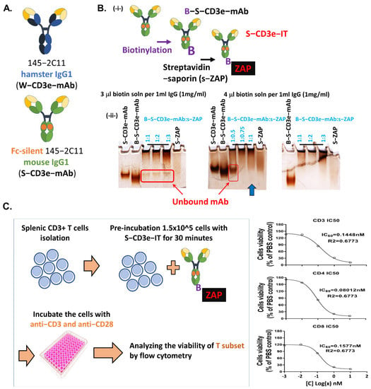 https://www.mdpi.com/biomedicines/biomedicines-10-01221/article_deploy/html/images/biomedicines-10-01221-g001-550.jpg