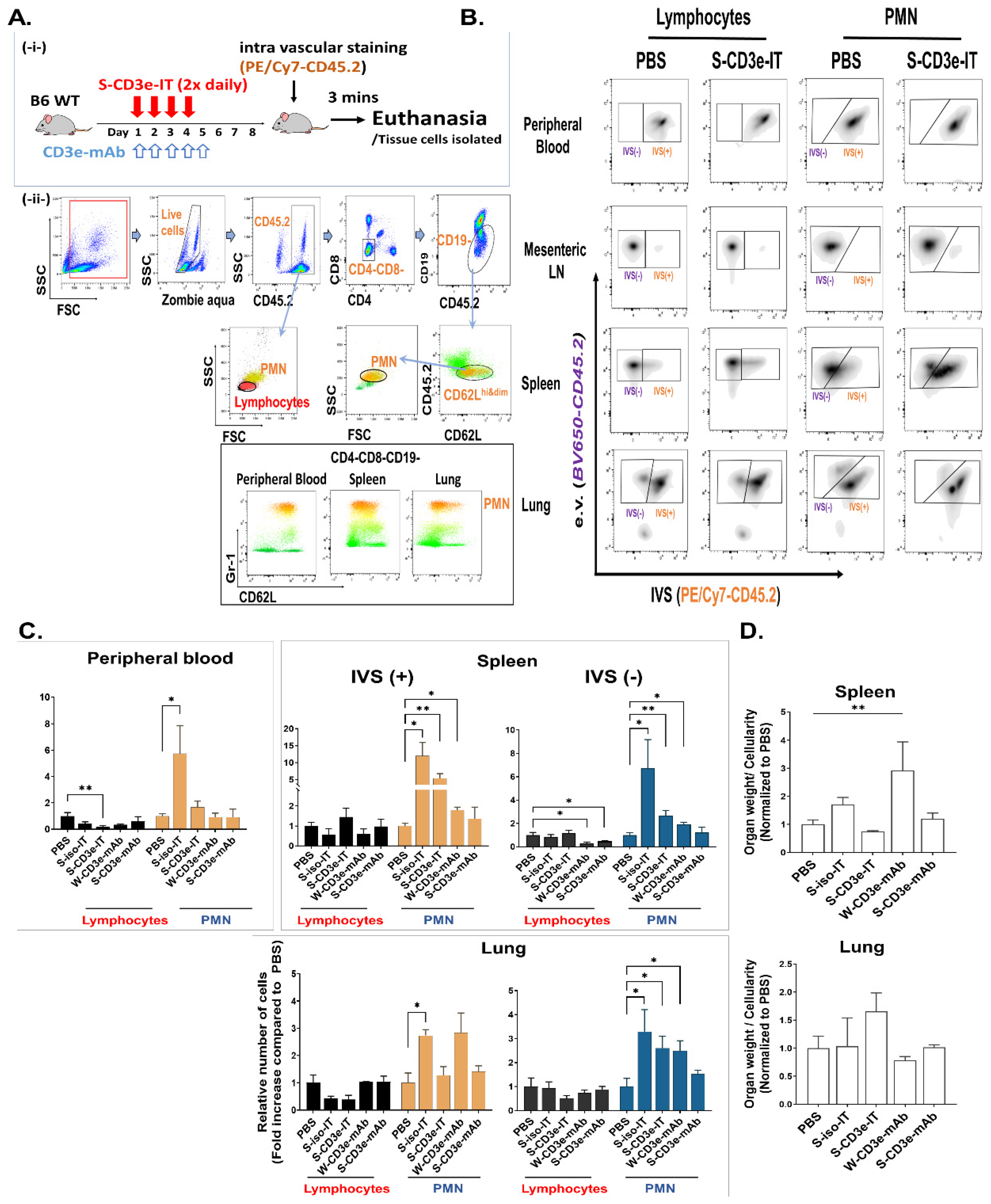Biomedicines 10 01221 g003