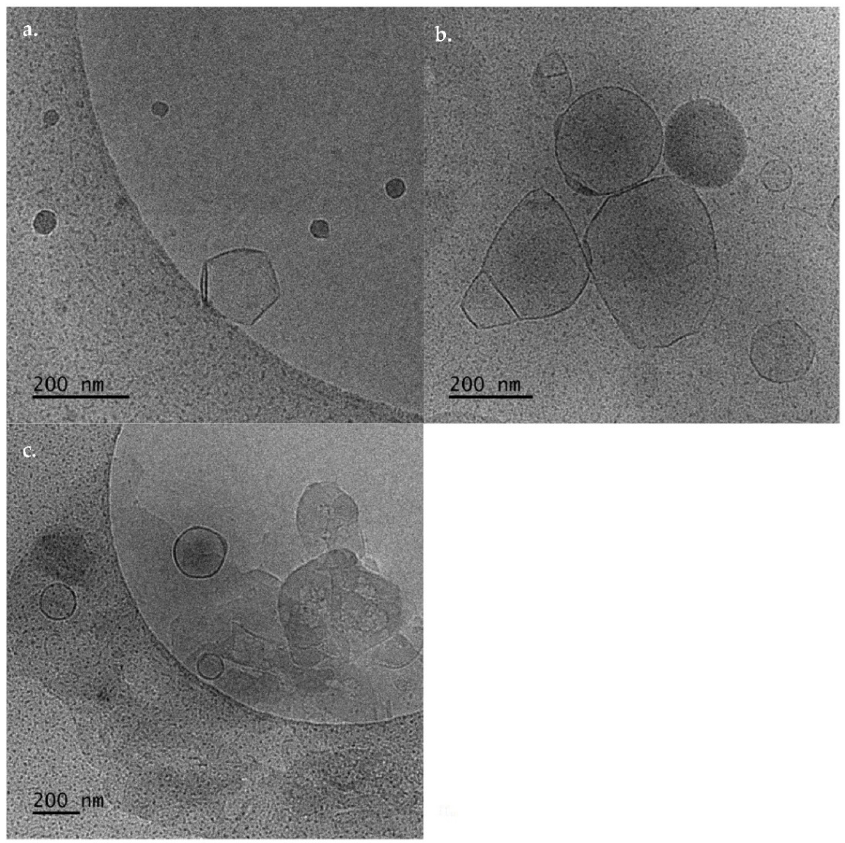 Biomedicines 10 01228 g004