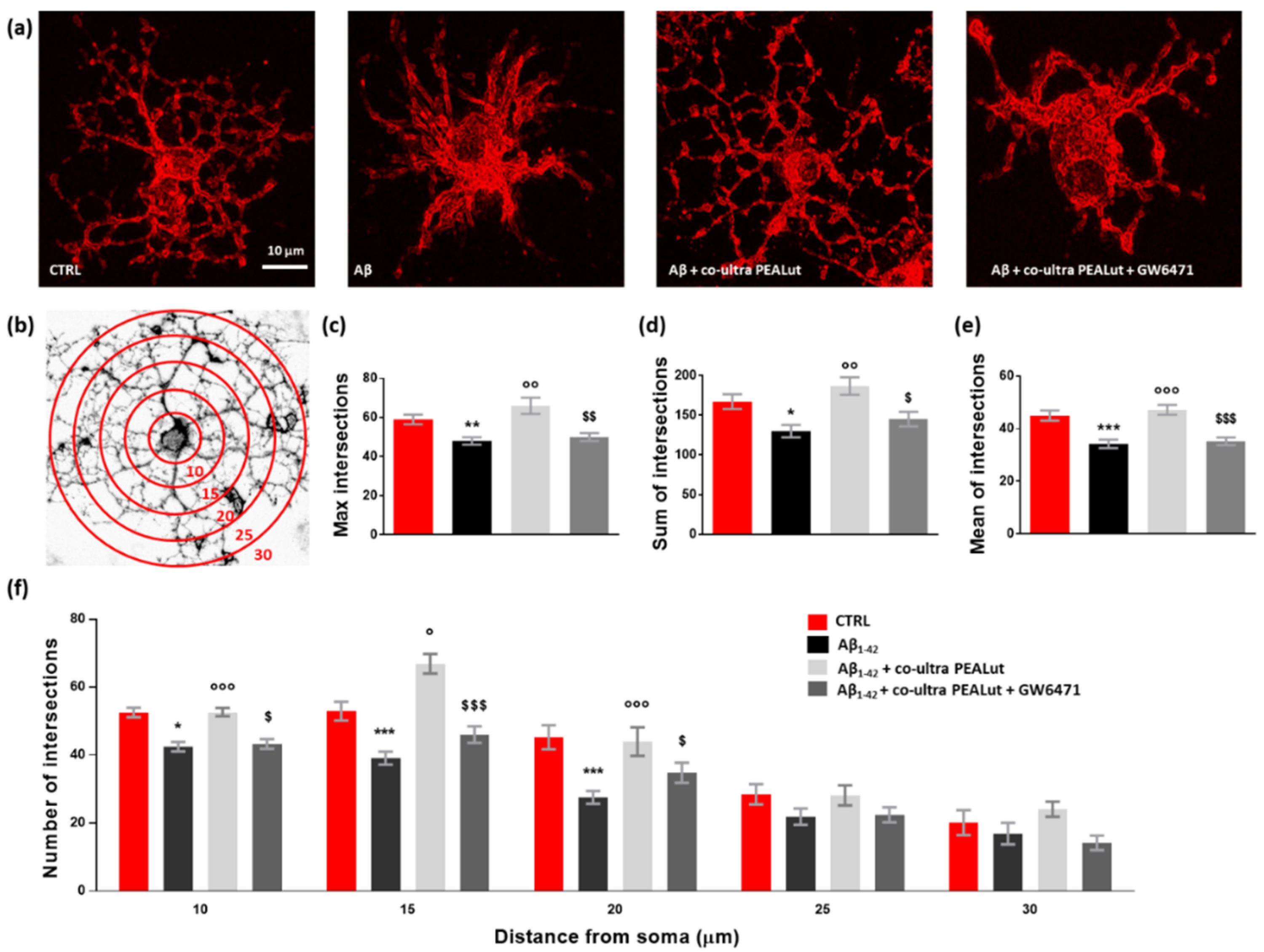 Biomedicines 10 01236 g006