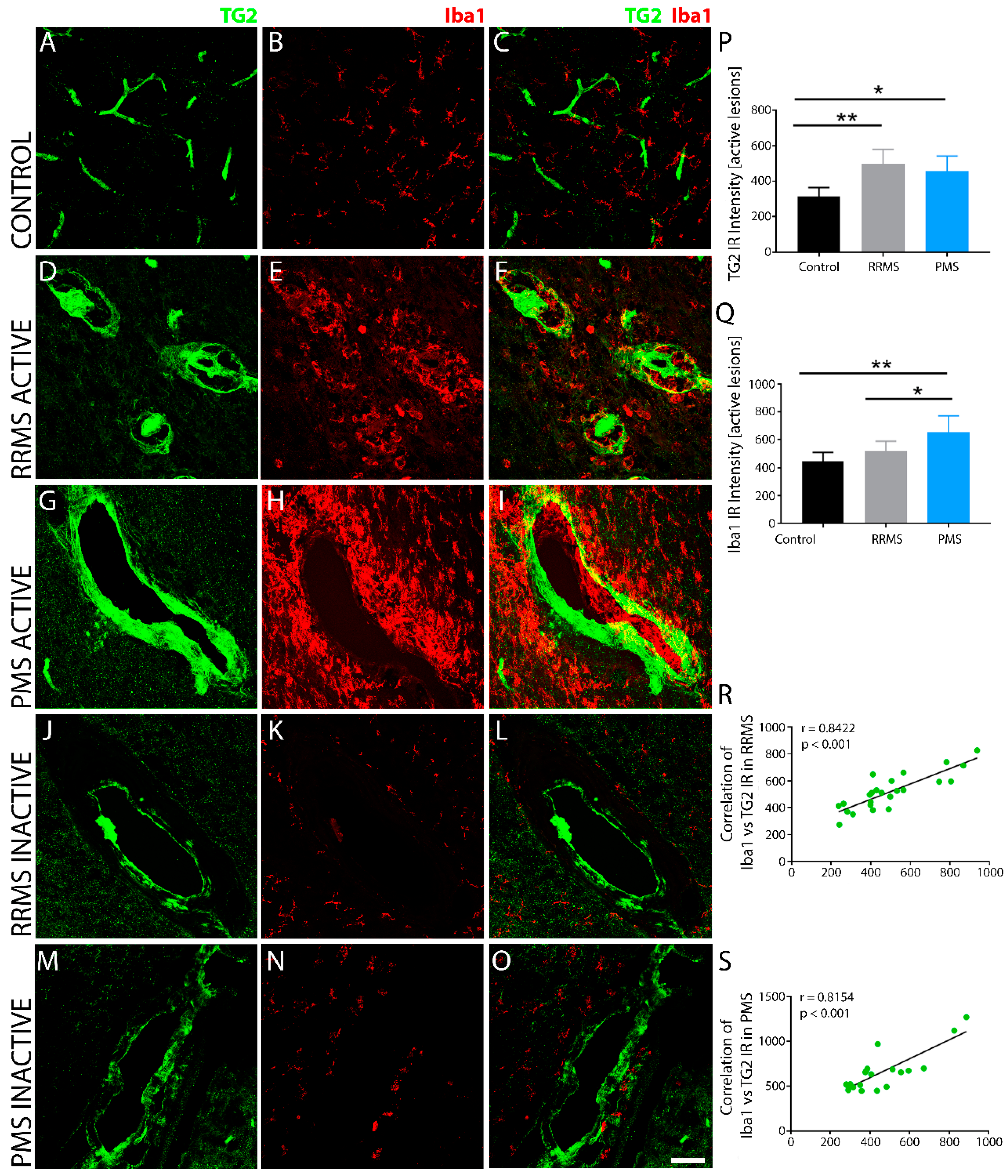 Biomedicines 10 01241 g002 Biomedicines 10 01241 g002