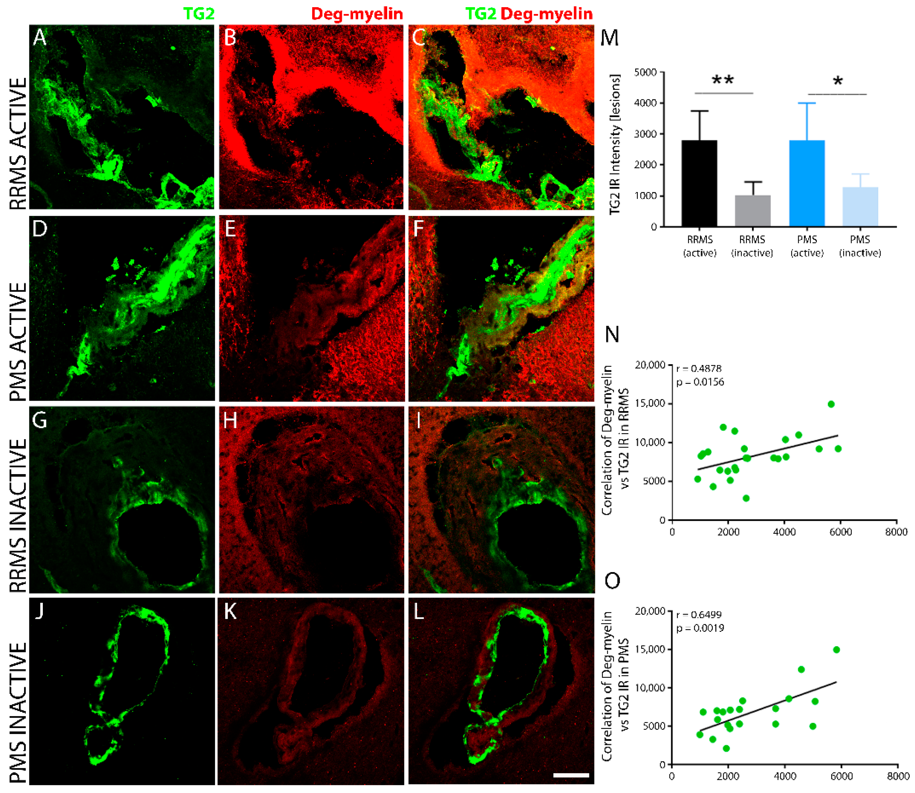 Biomedicines 10 01241 g003 Biomedicines 10 01241 g003