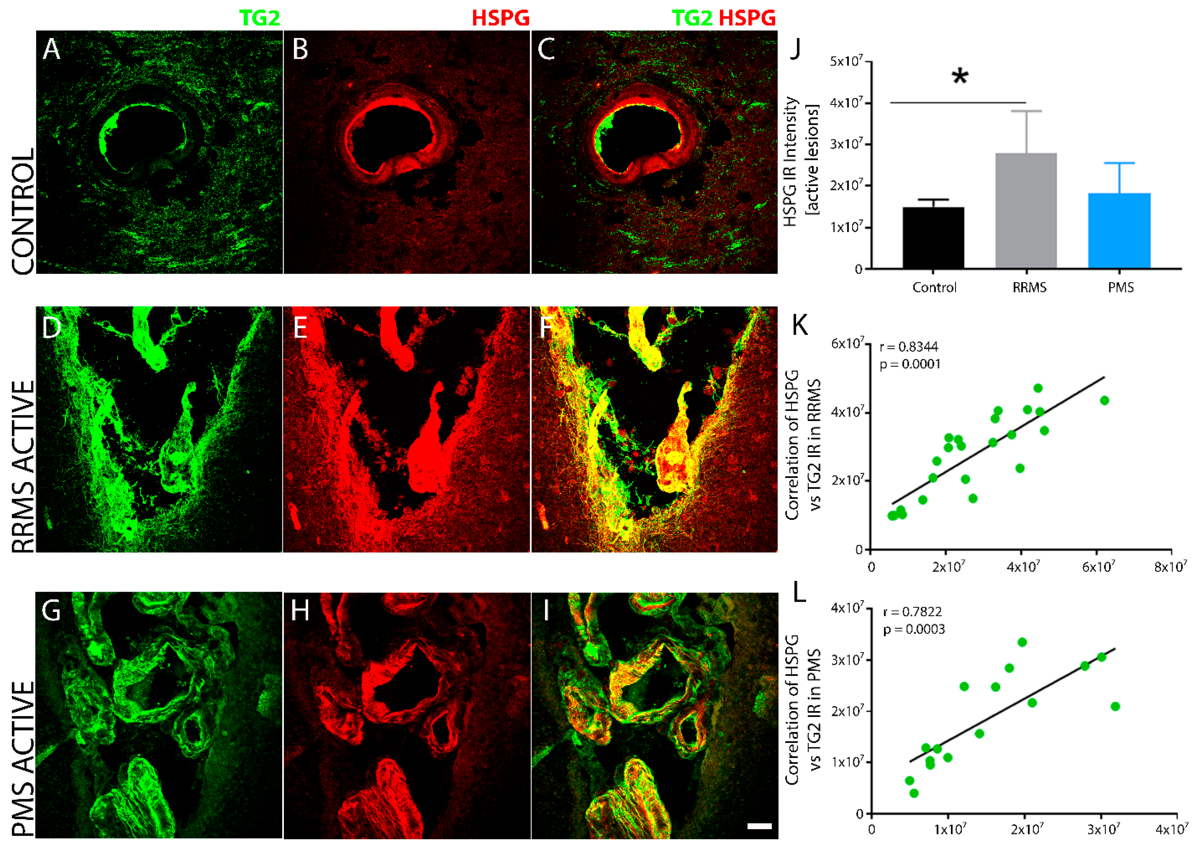 Biomedicines 10 01241 g008 Biomedicines 10 01241 g008