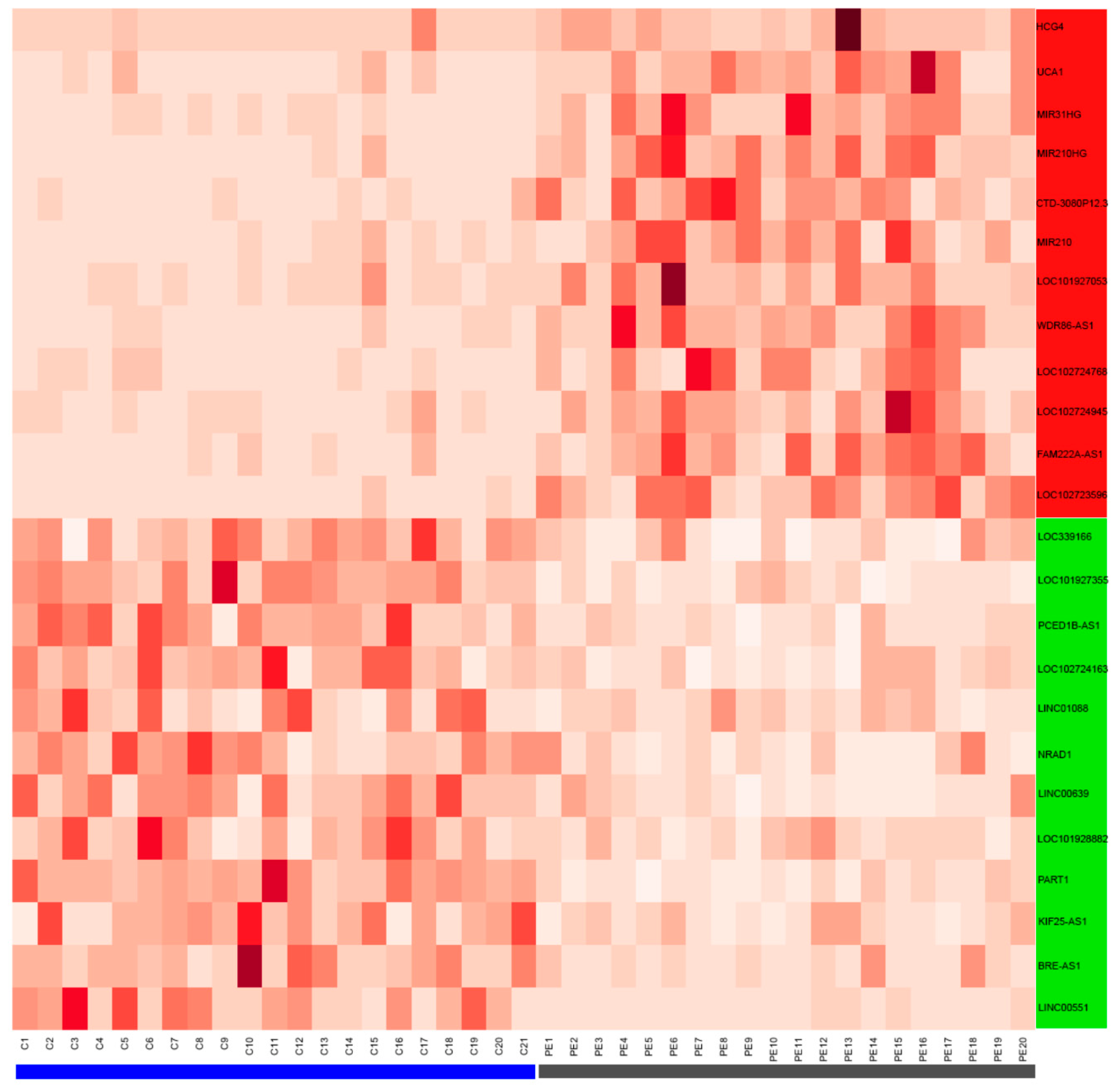 Biomedicines 10 01253 g002