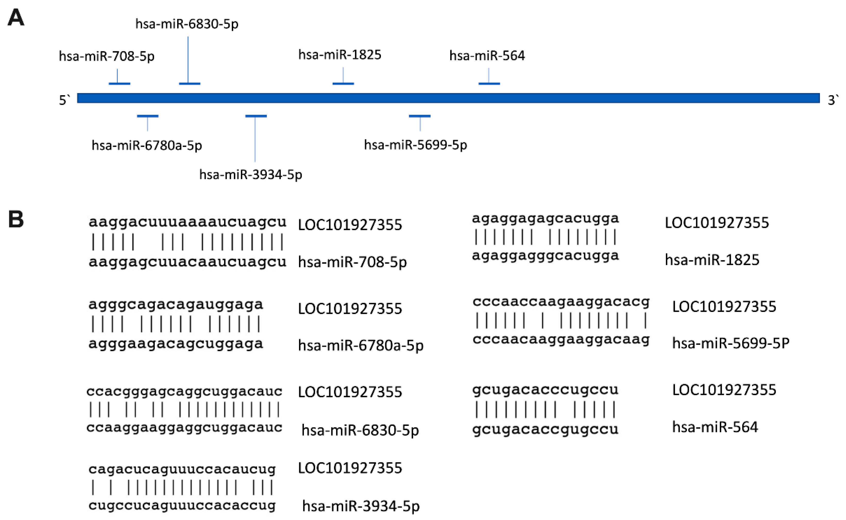 Biomedicines 10 01253 g005