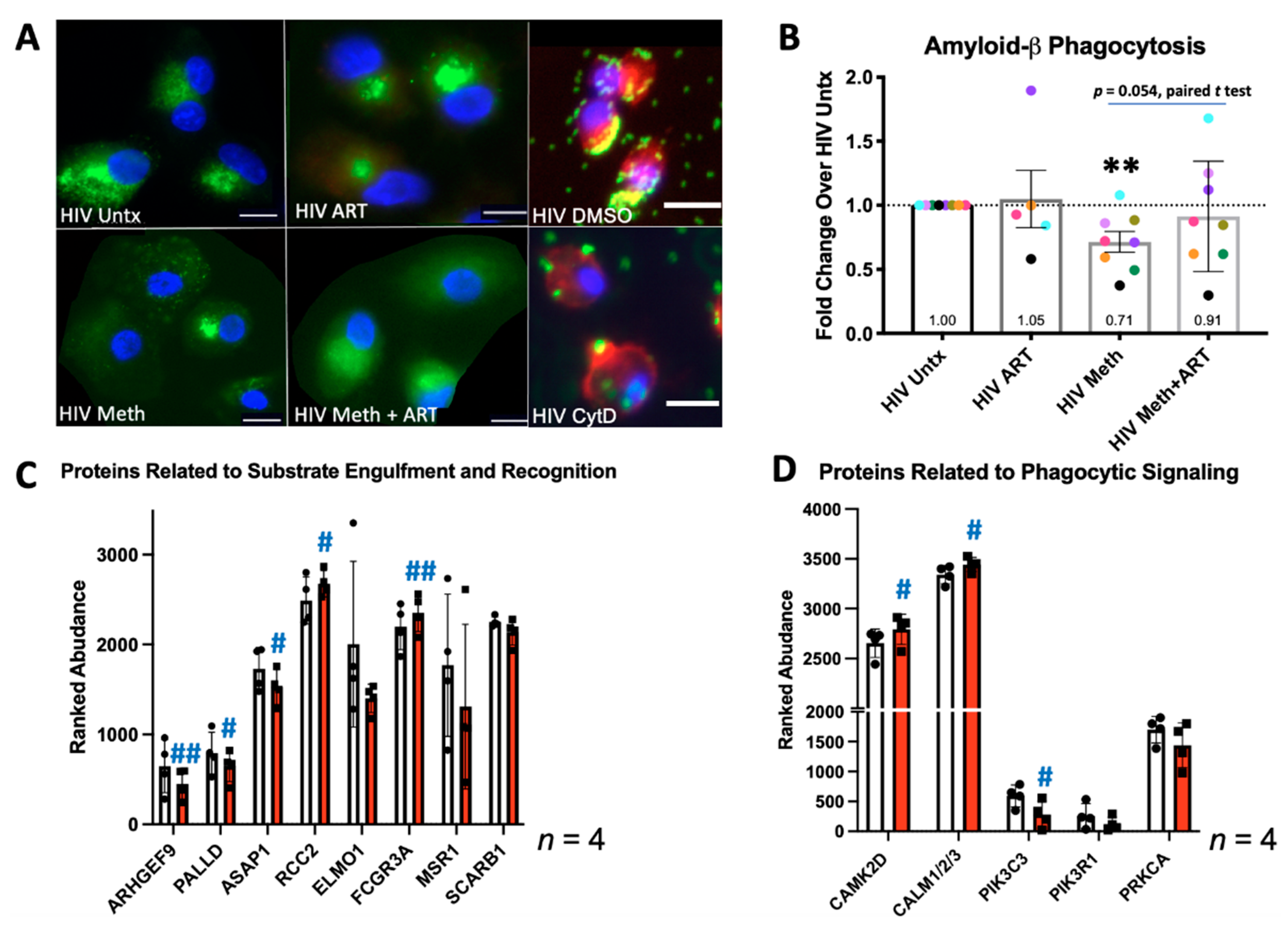 Biomedicines 10 01257 g002