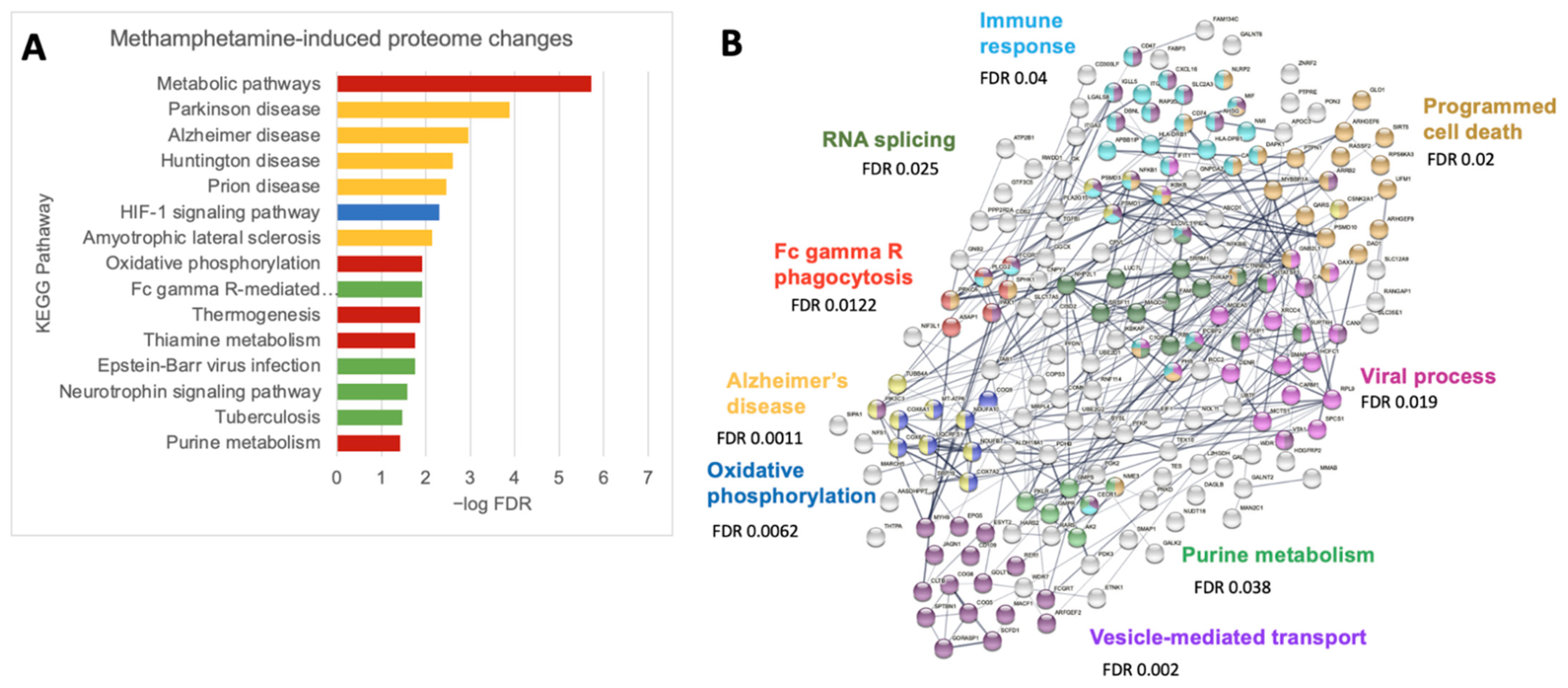 Biomedicines 10 01257 g004