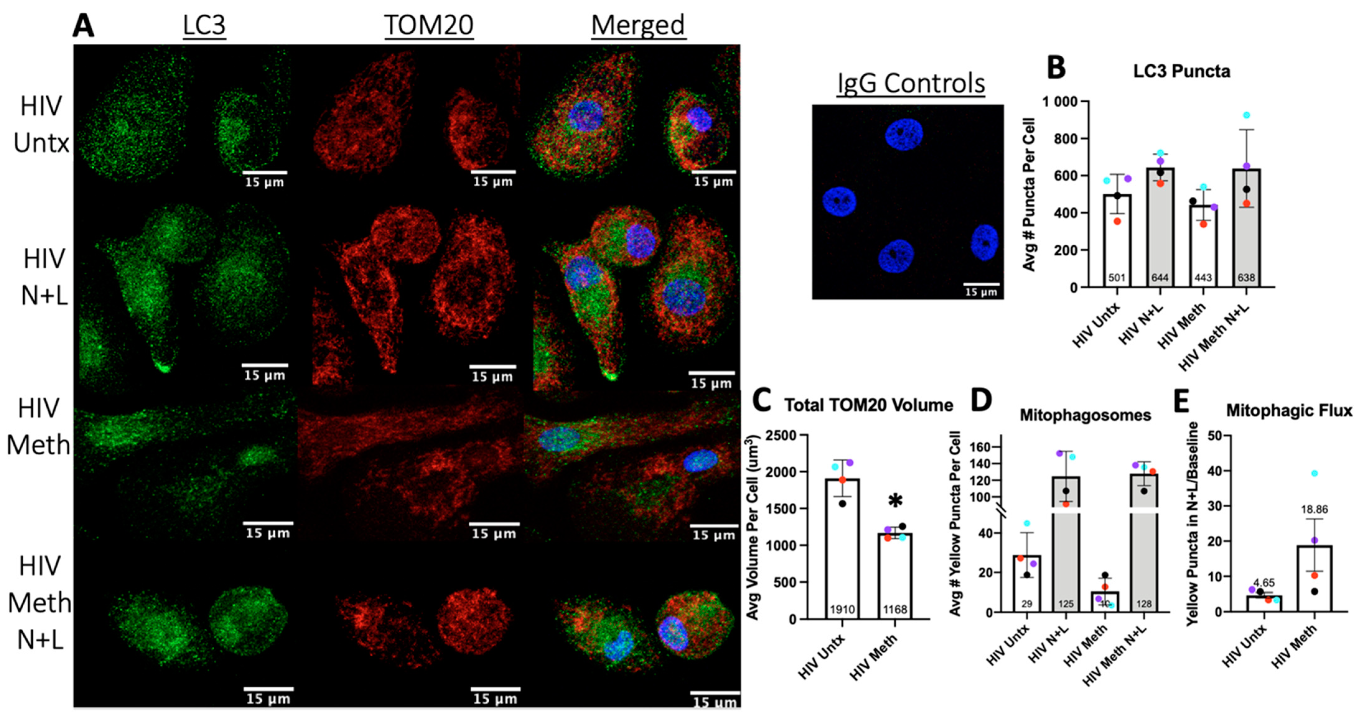 Biomedicines 10 01257 g006