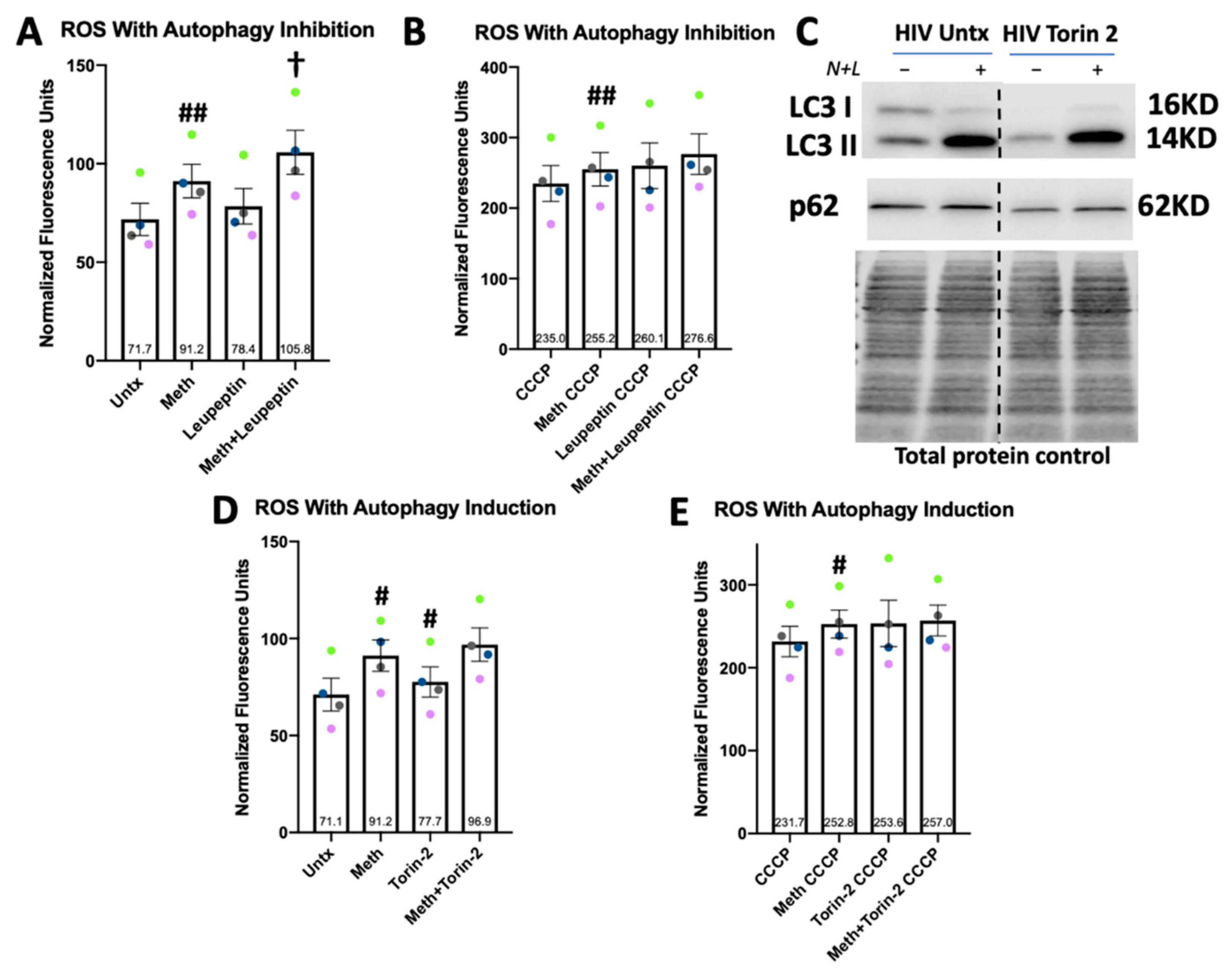 Biomedicines 10 01257 g007