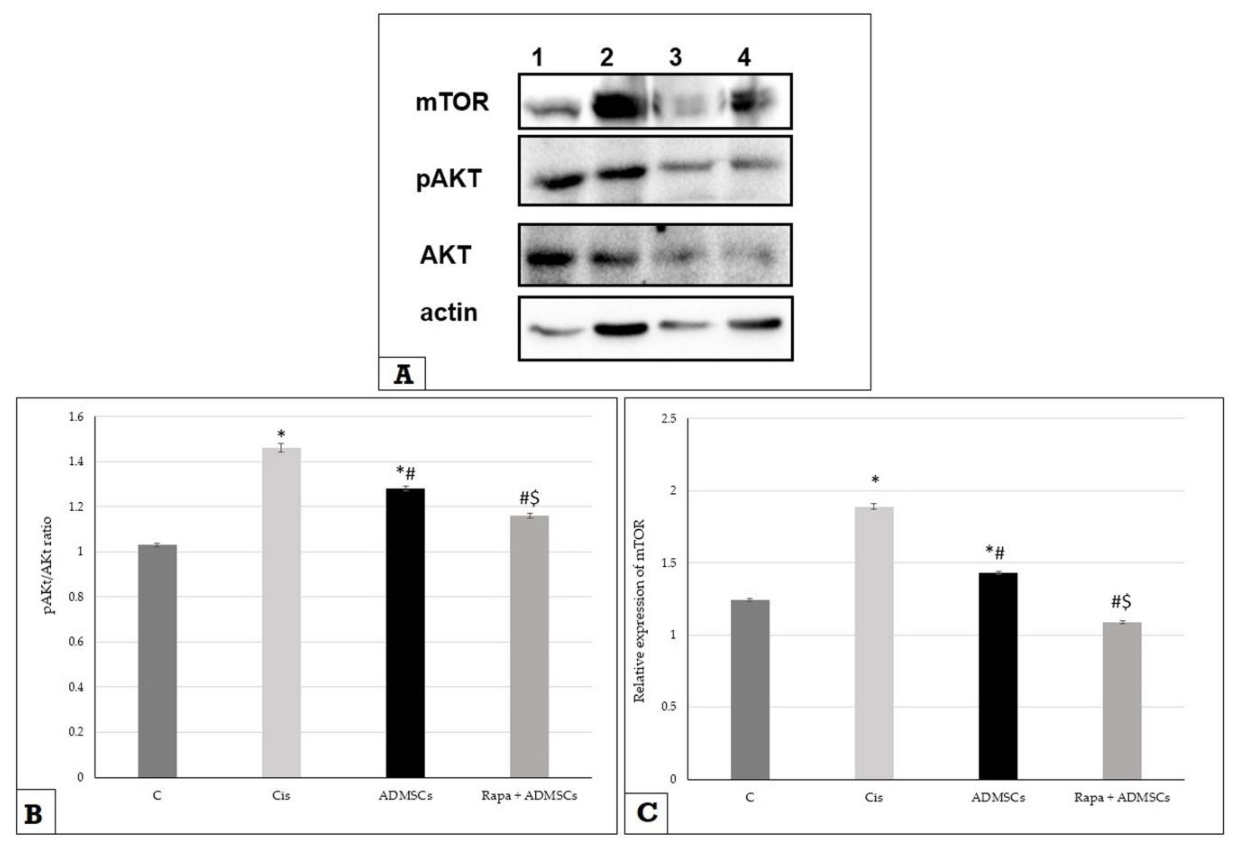 Biomedicines 10 01295 g004