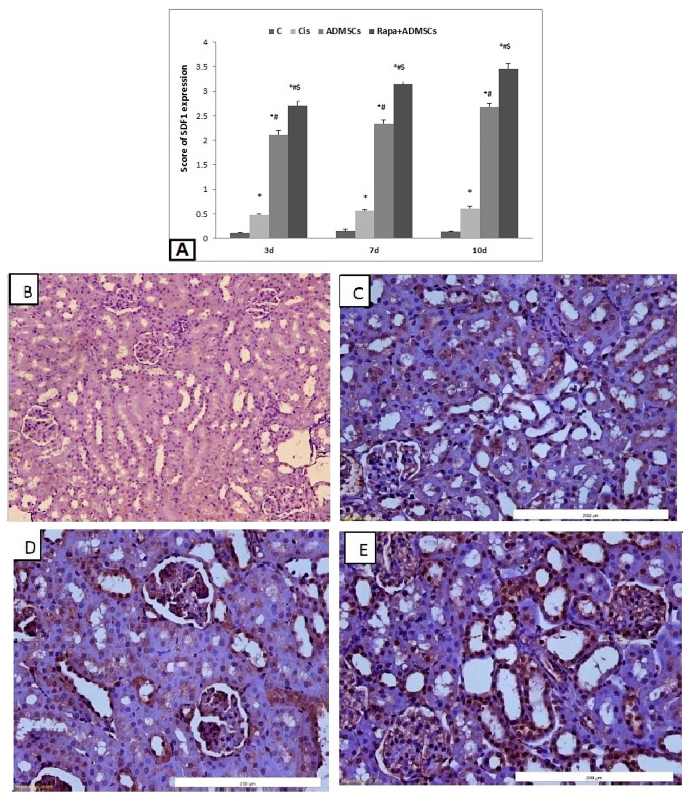 Biomedicines 10 01295 g007