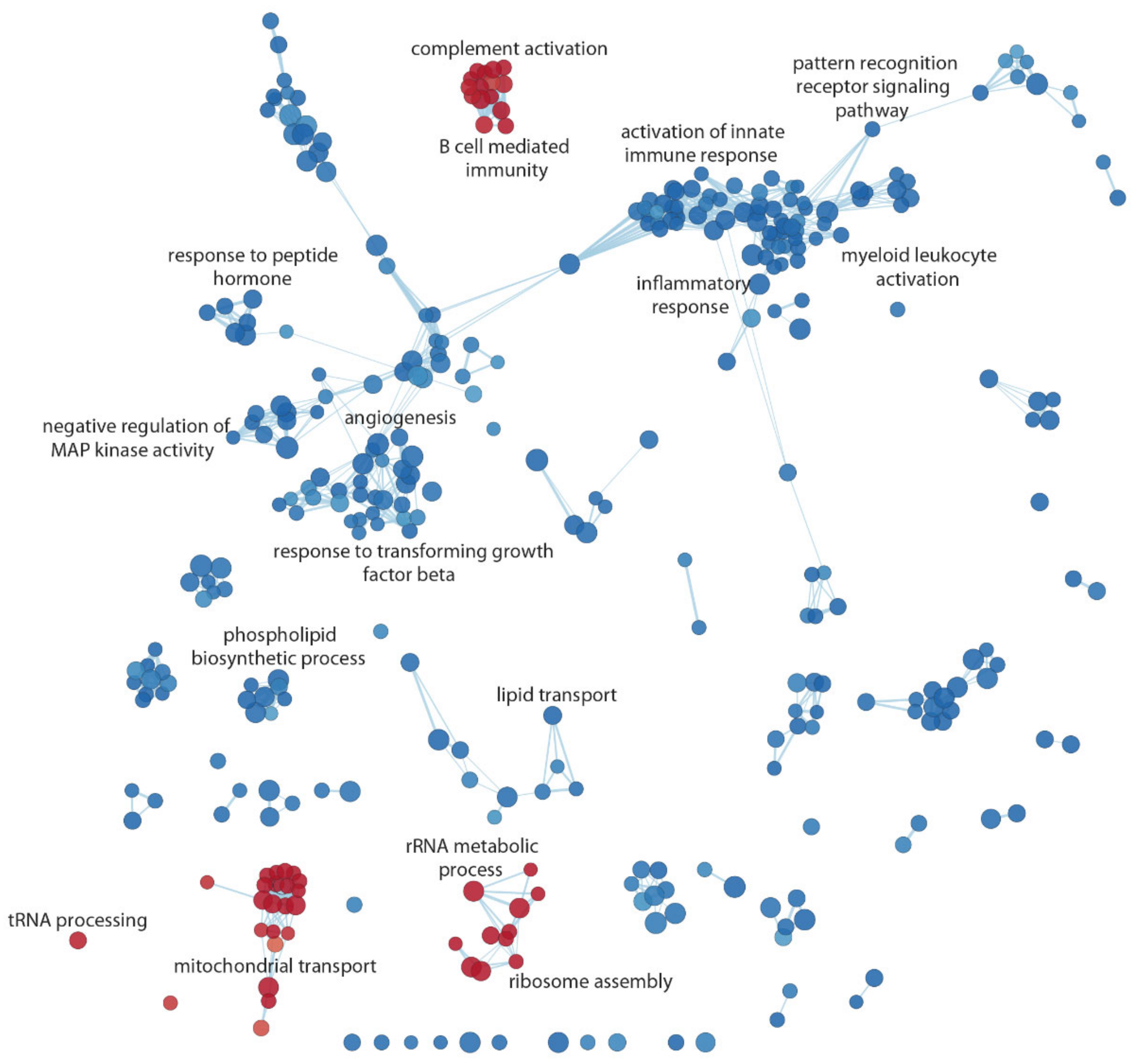 Biomedicines 10 01309 g003