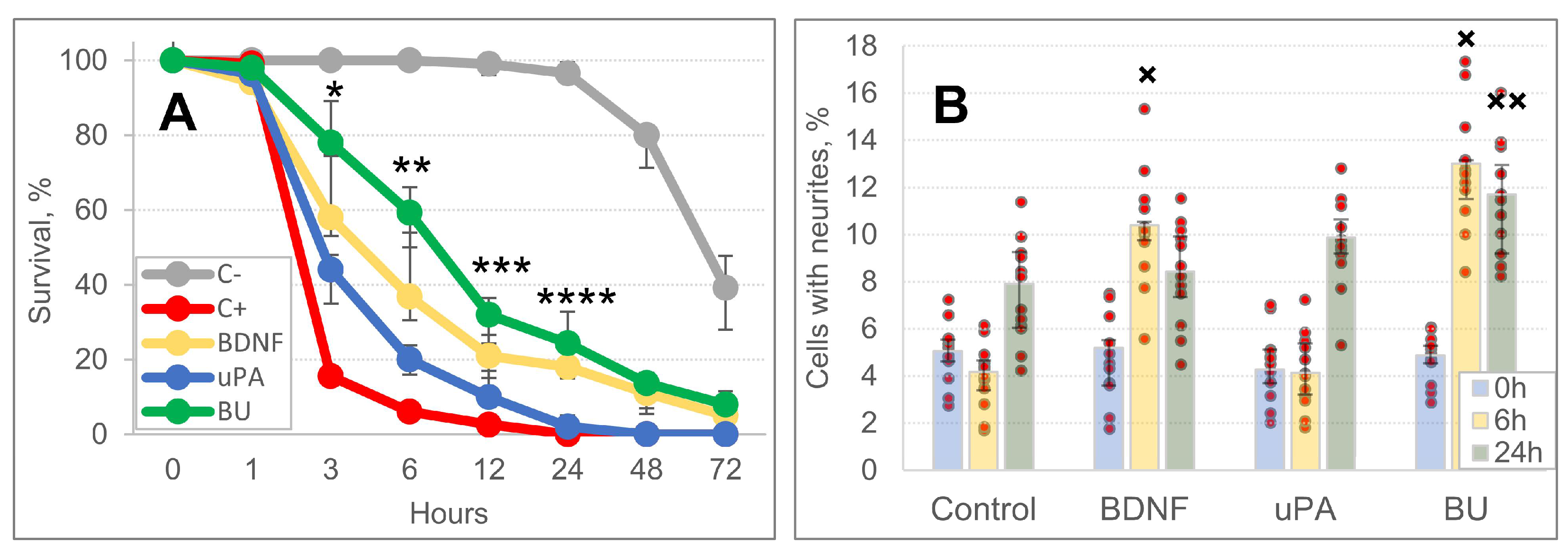 Biomedicines 10 01346 g005