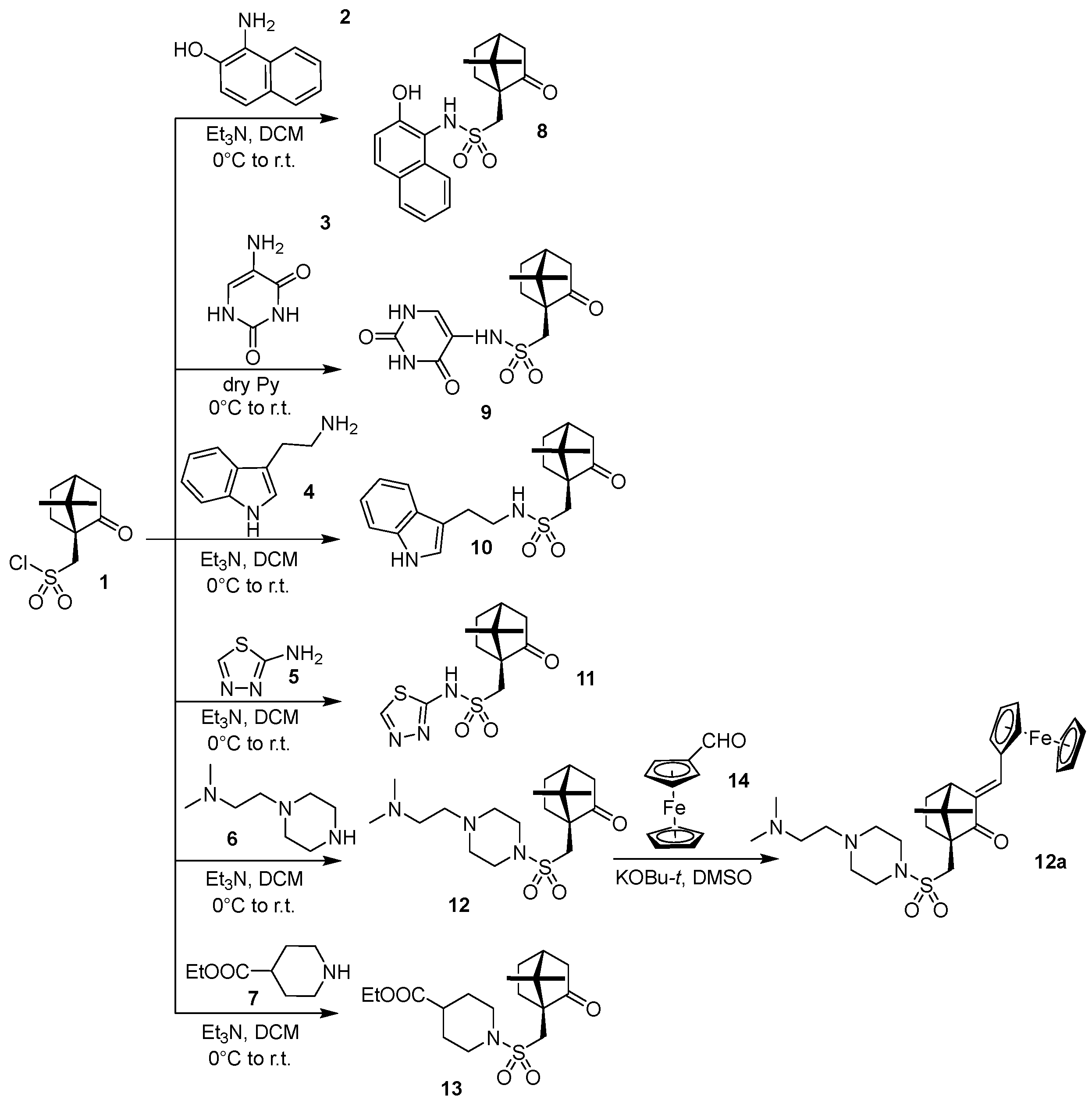 Biomedicines 10 01353 g001