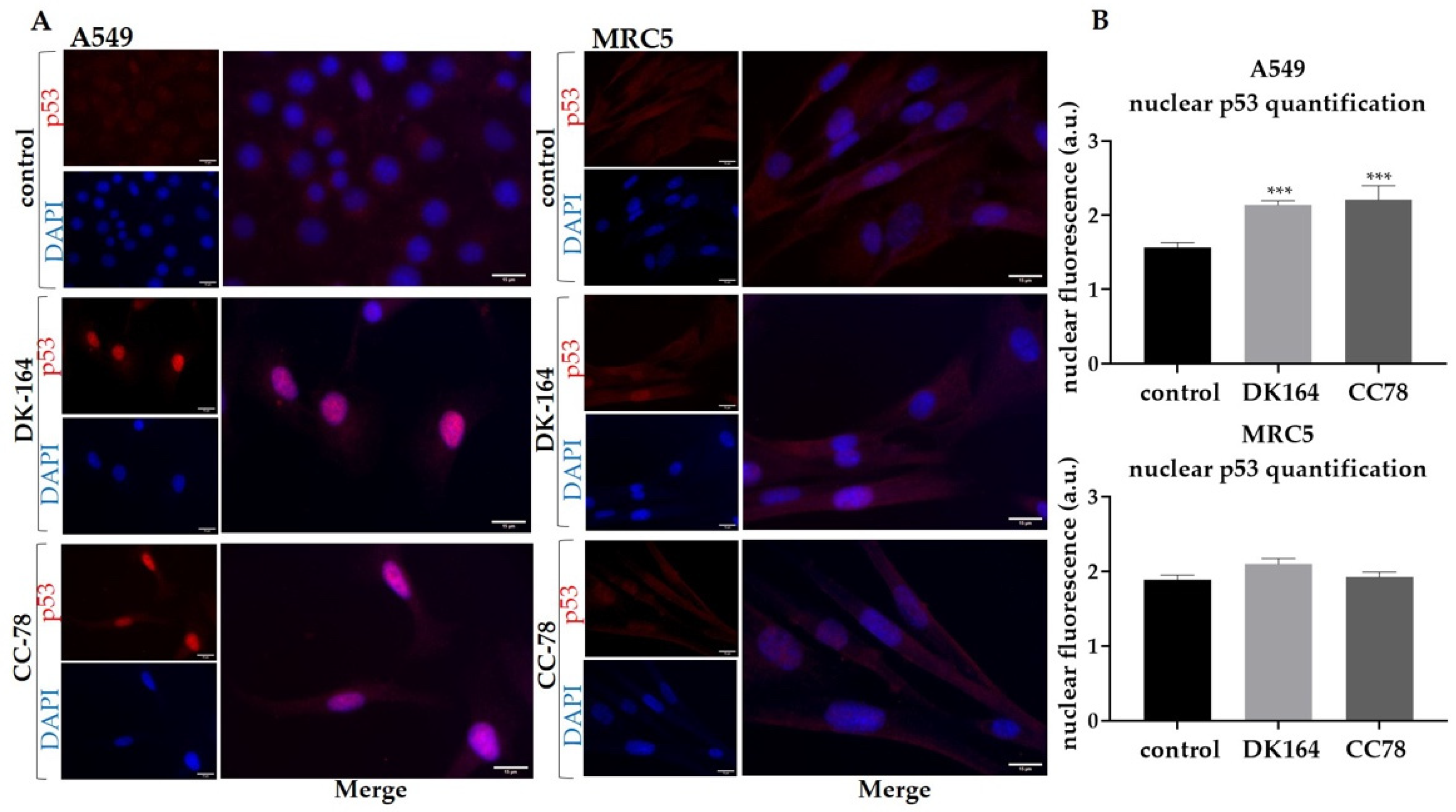 Biomedicines 10 01353 g006
