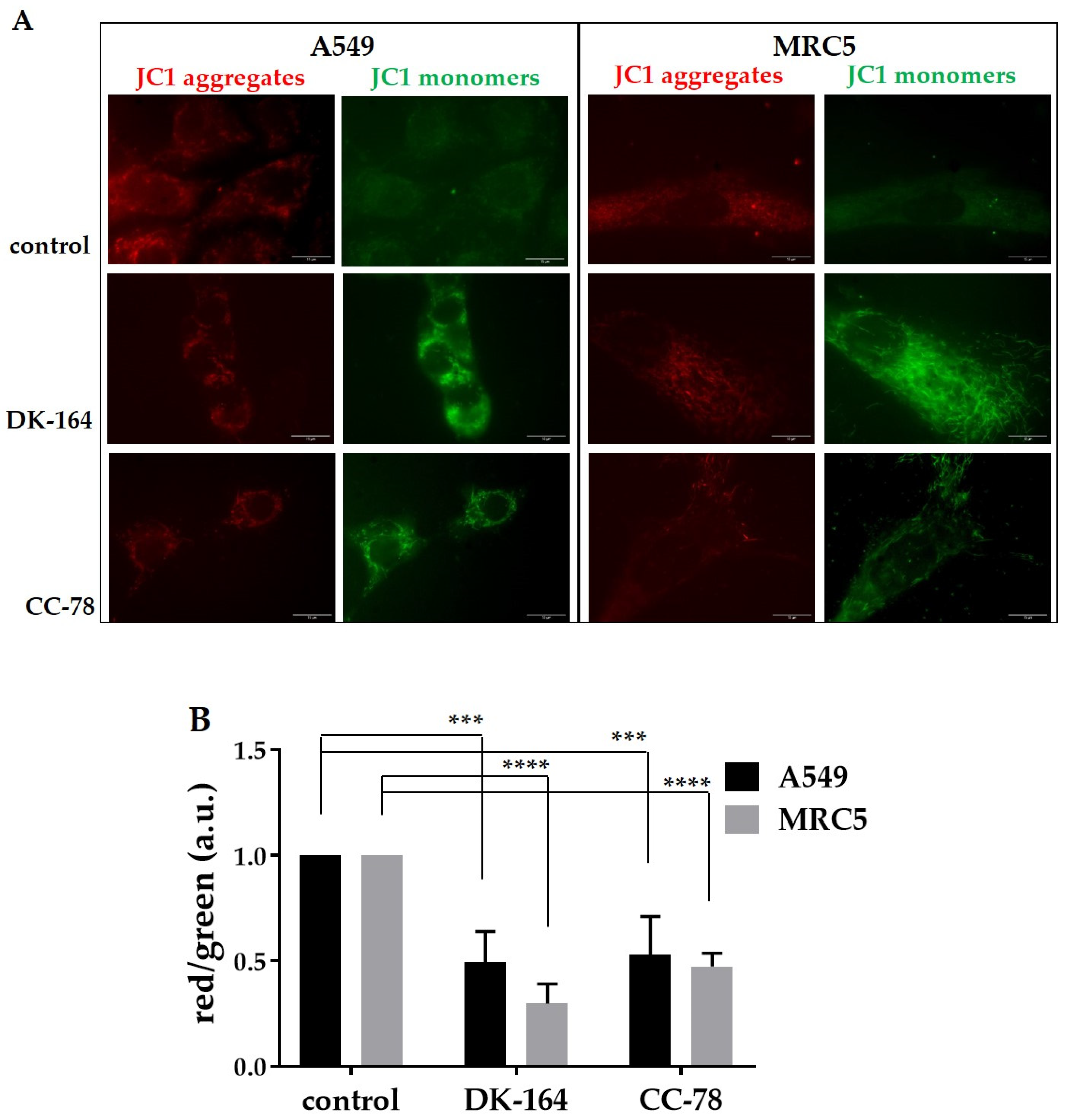 Biomedicines 10 01353 g009